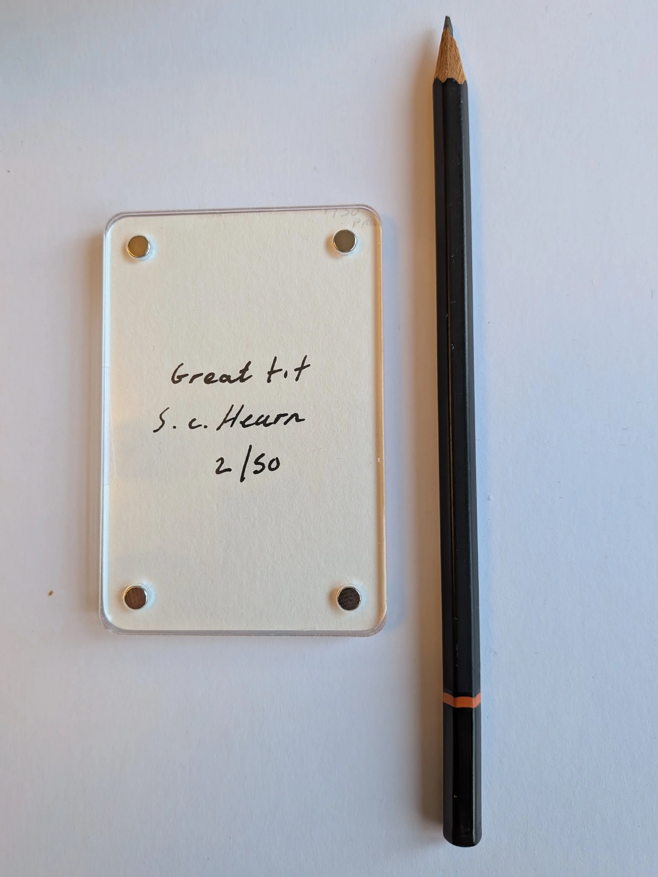 Great Tit writing.jpg