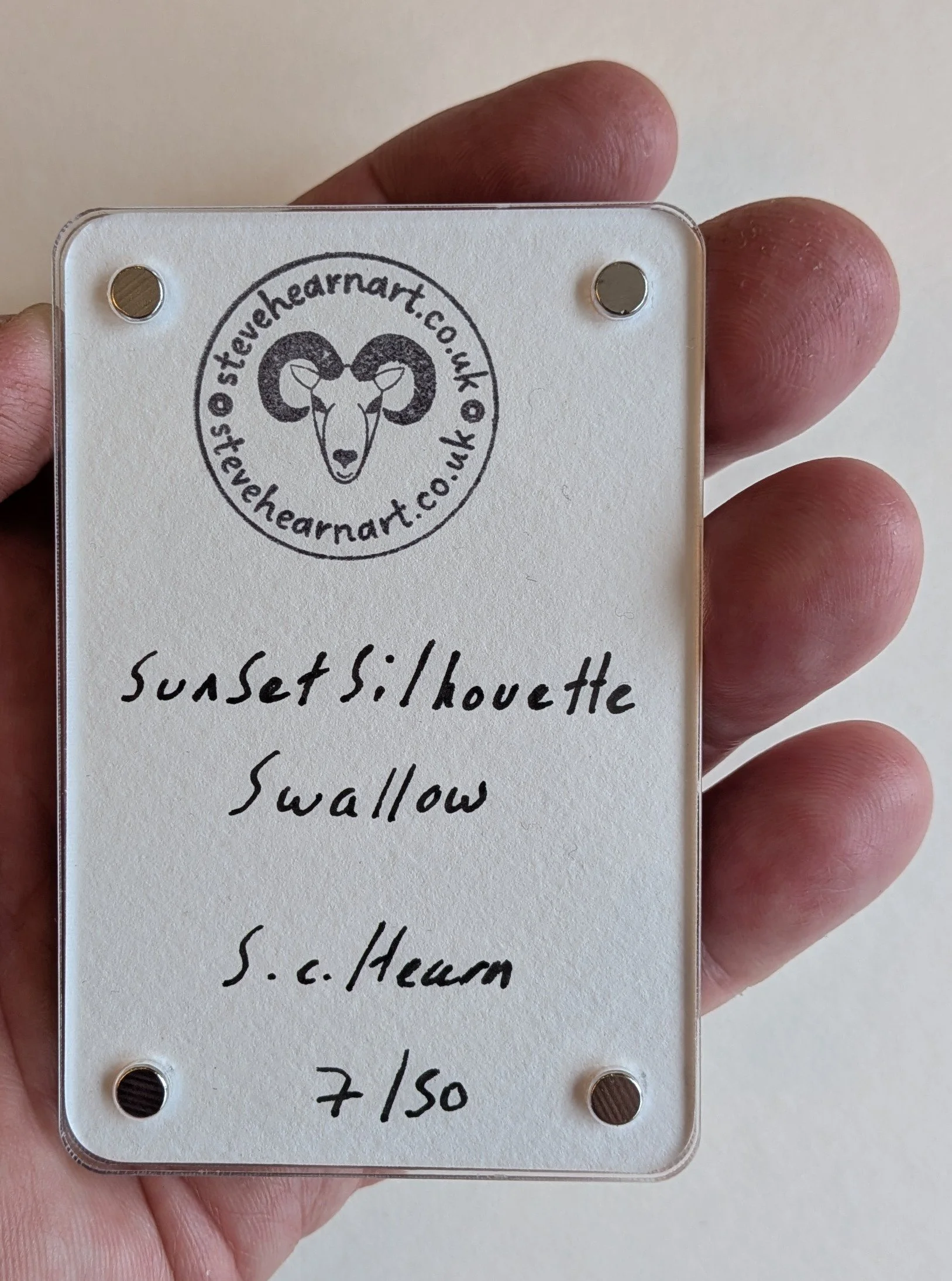 sunset silhouette swallow back.jpg