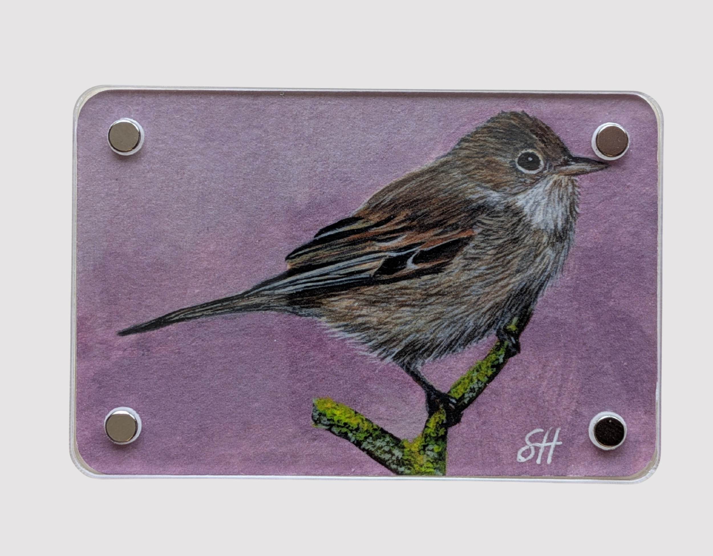 Whitethroat - Mini Fine Art Magnet (Limited to 50)