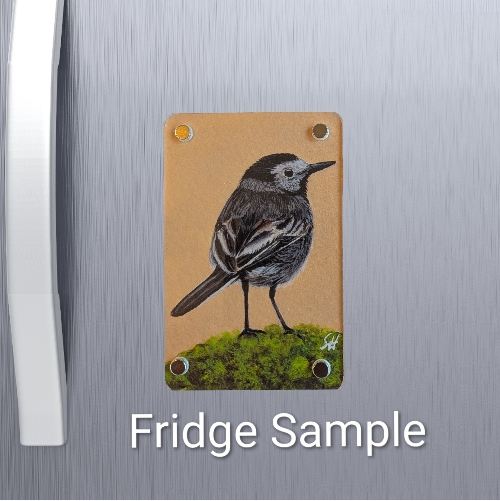 Pied Wagtail Mini Art Magnet (Limited to 50)