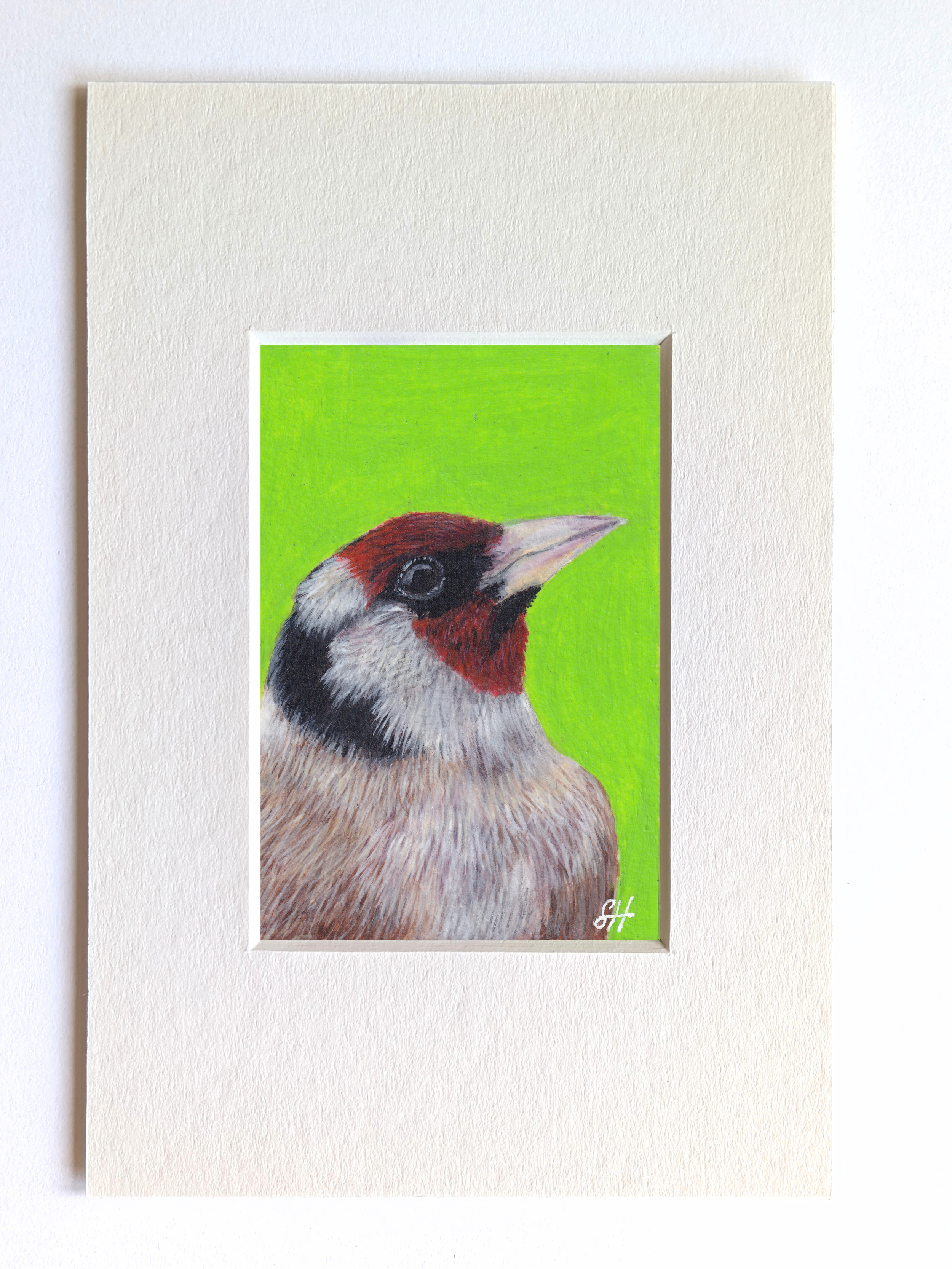 Goldfinch Miniature Fine Art Painting