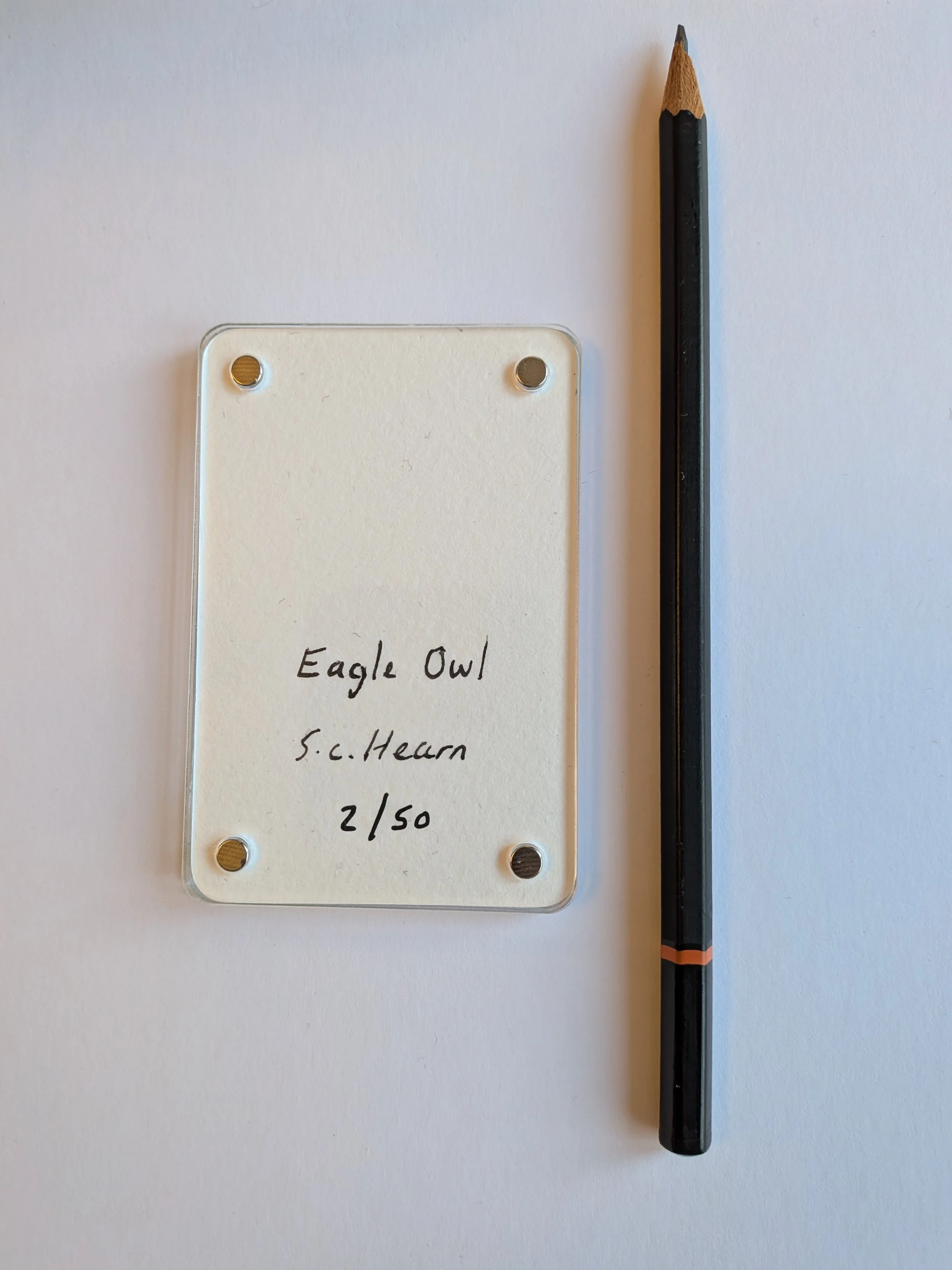 Eagle Owl writing.jpg