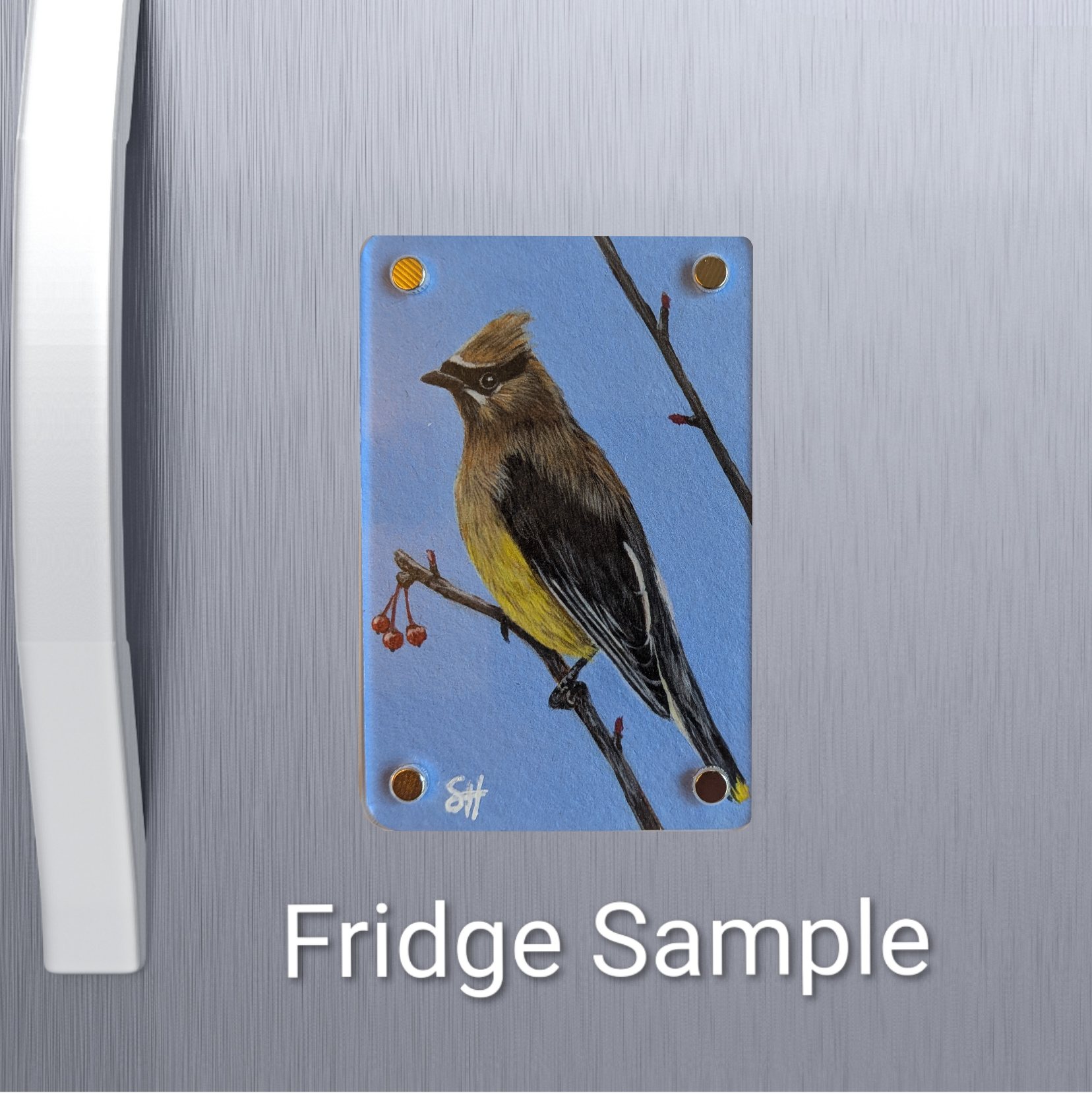 Waxwing Mini Art Magnet (Limited to 50)