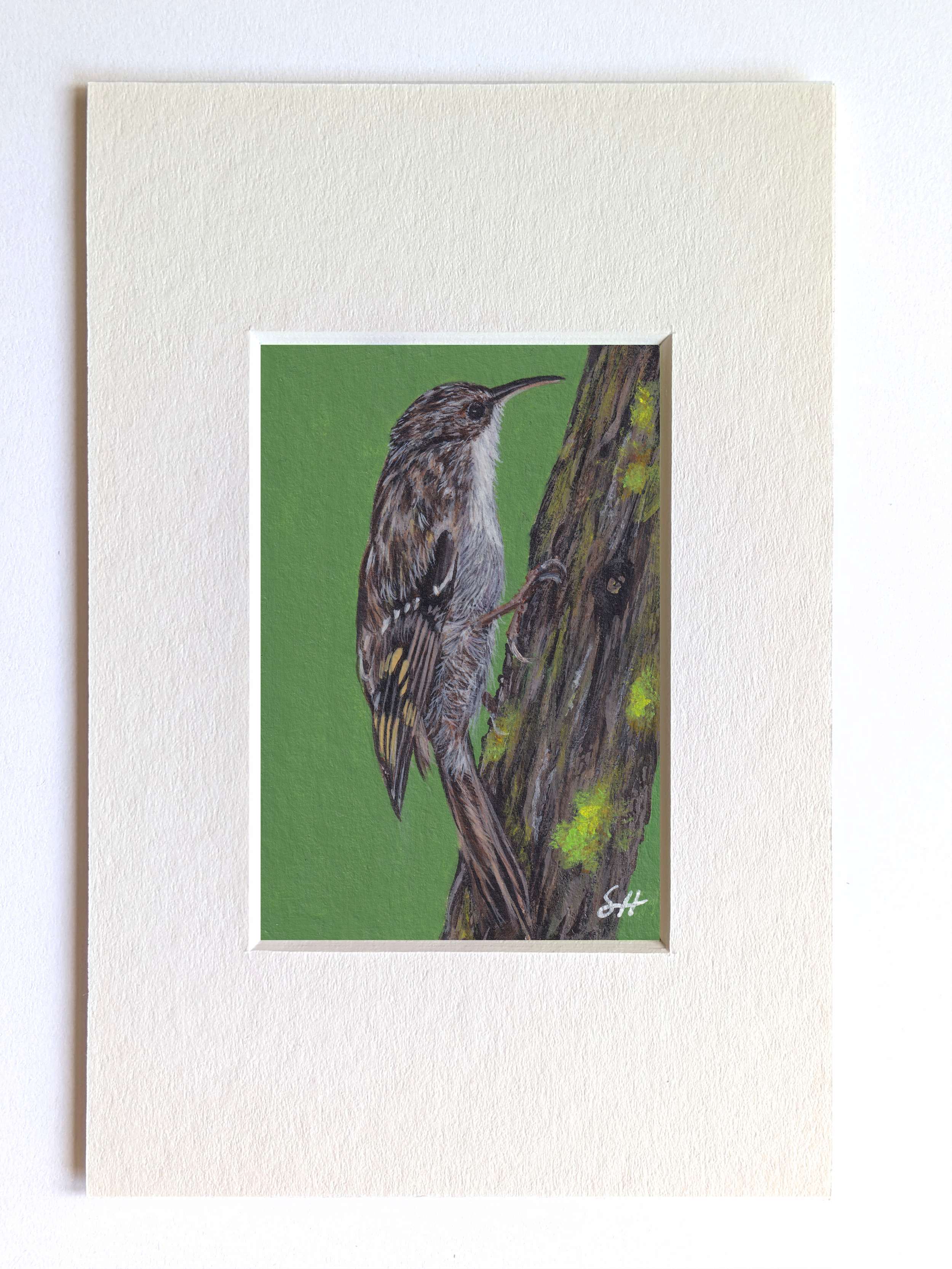 Treecreeper Miniature Fine Art Painting