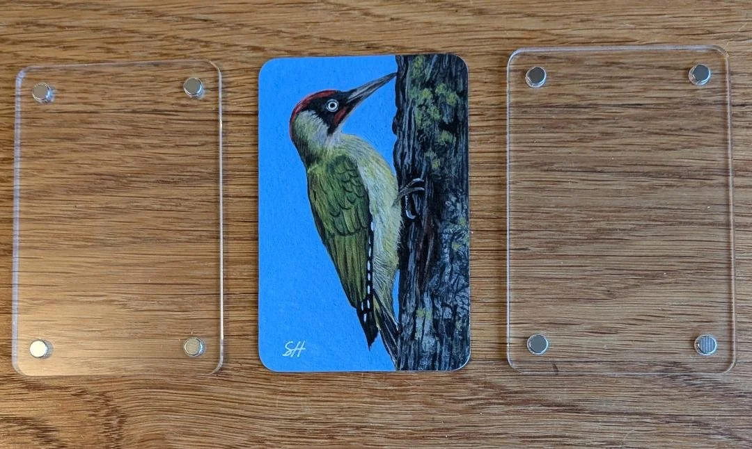 green woodpecker 2.jfif