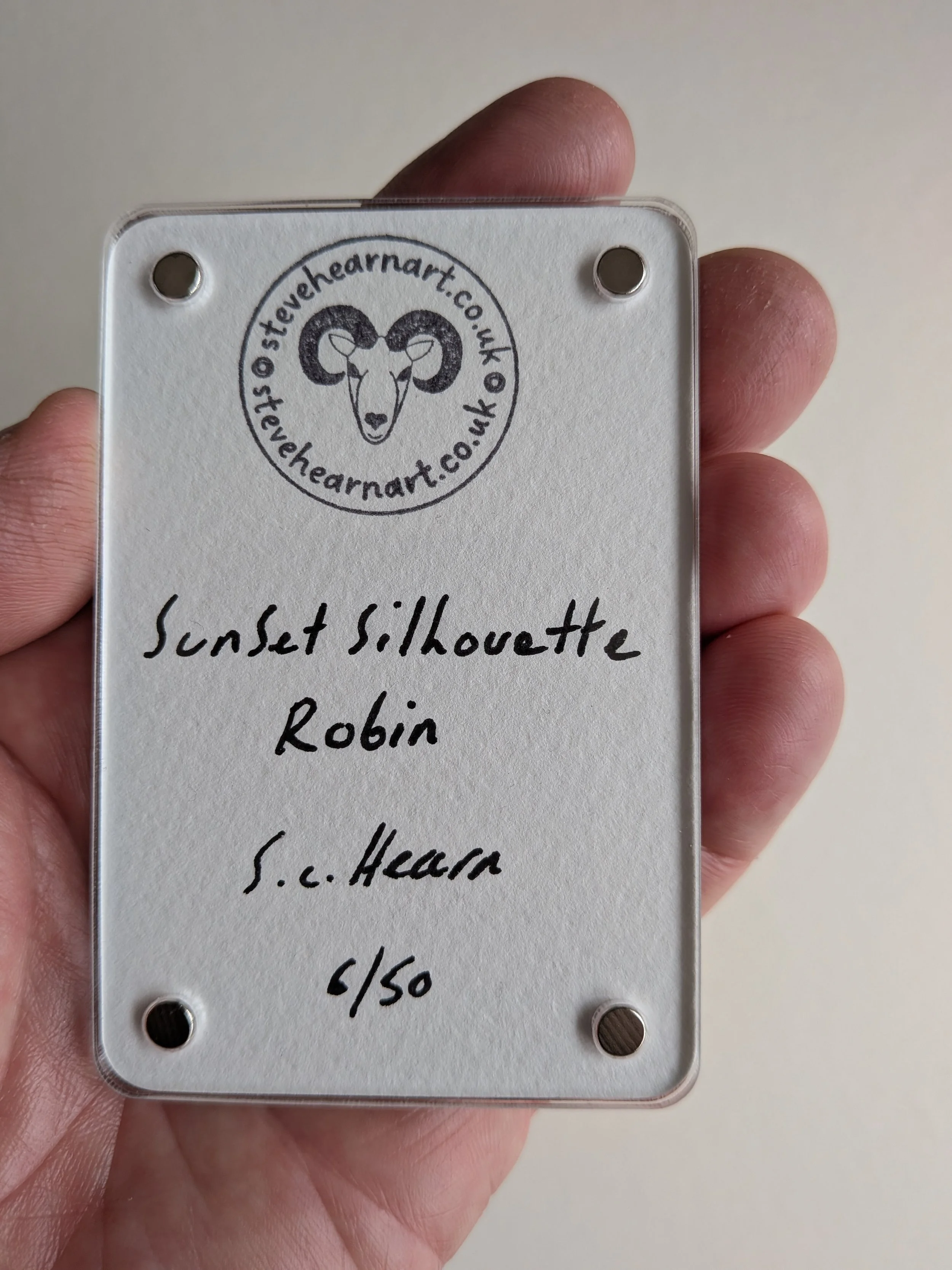 sunset silhouette robin back.jpg