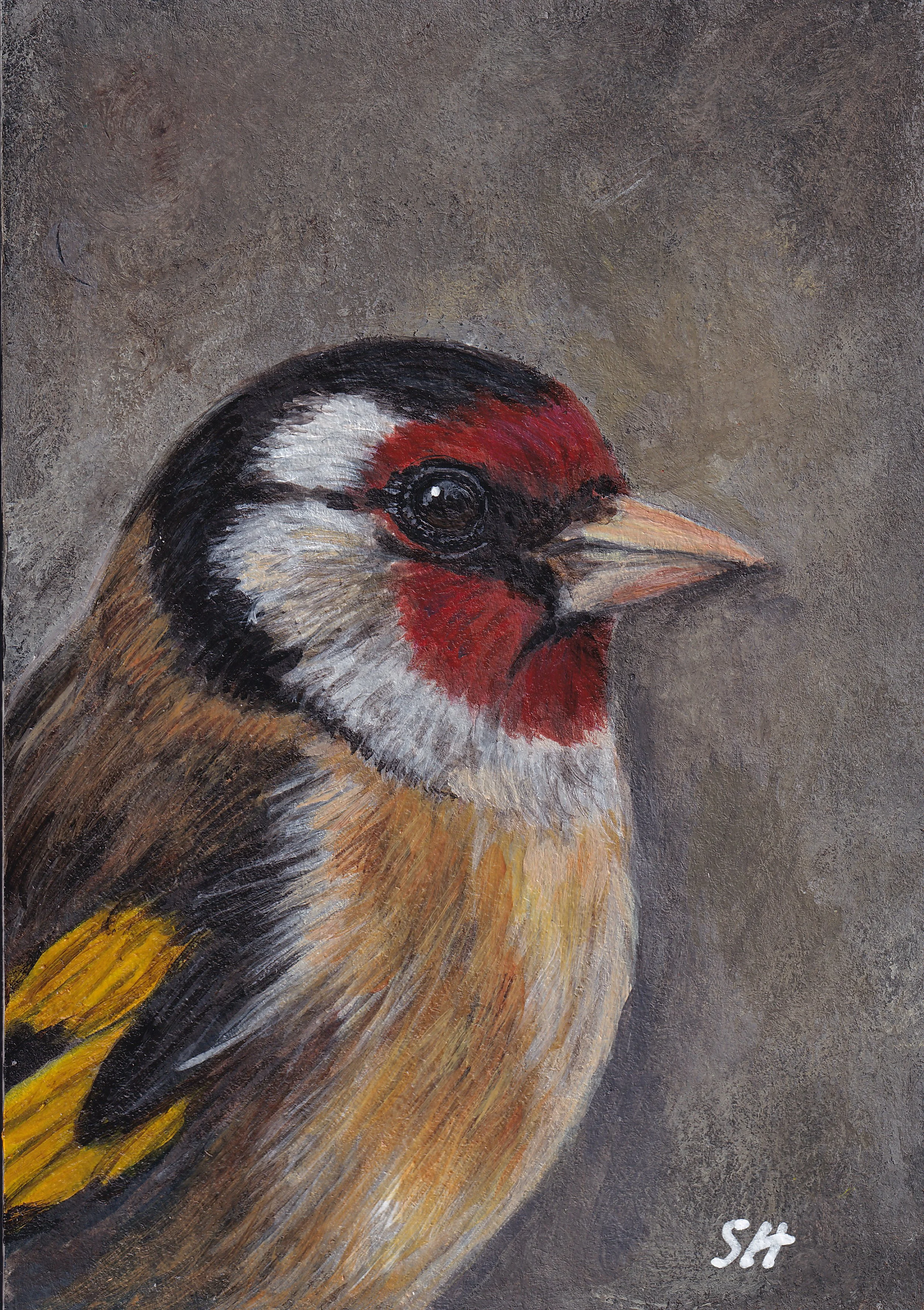 goldfinch grey arty.jpg