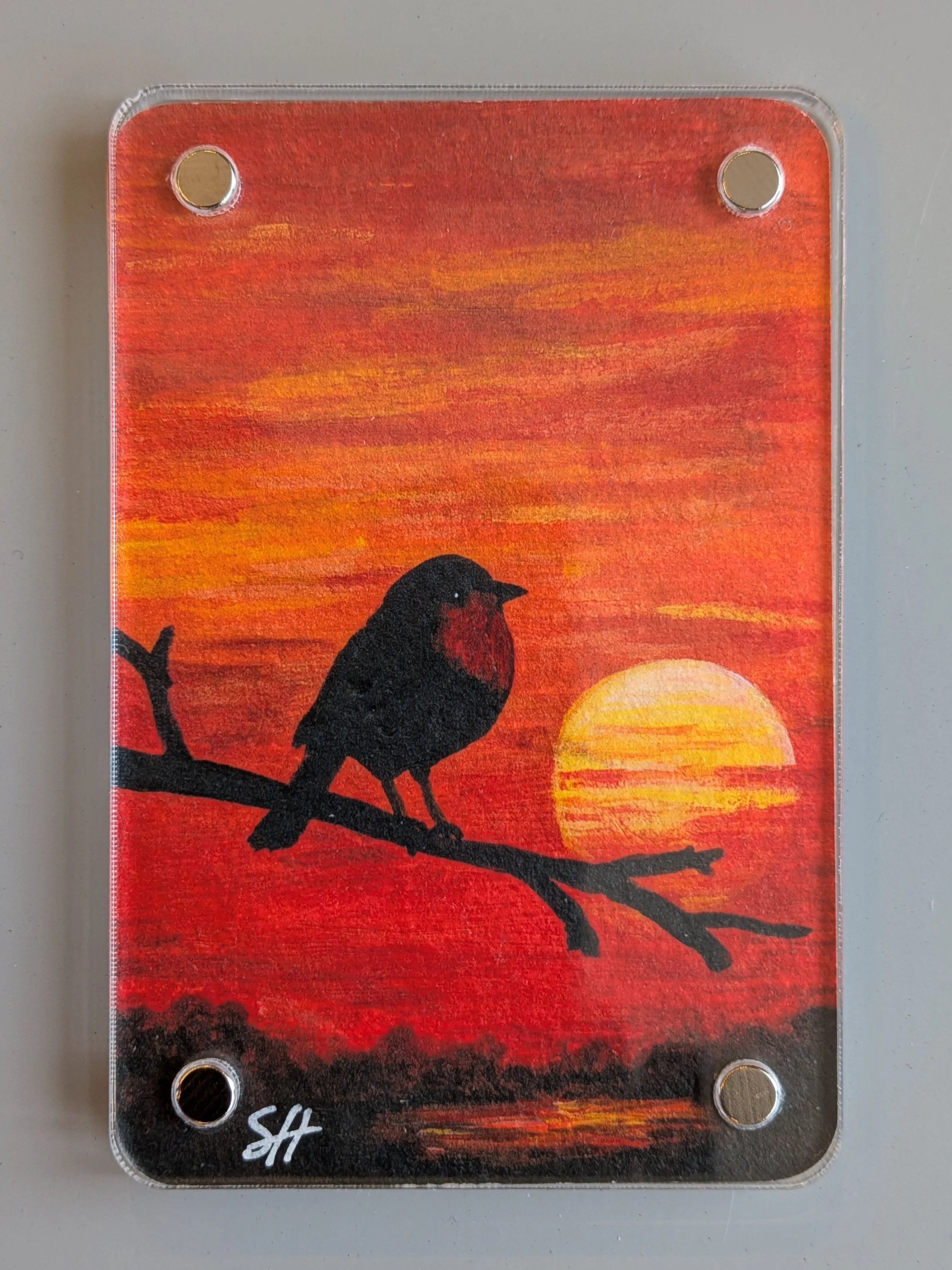 sunset silhouette robin front.jpg