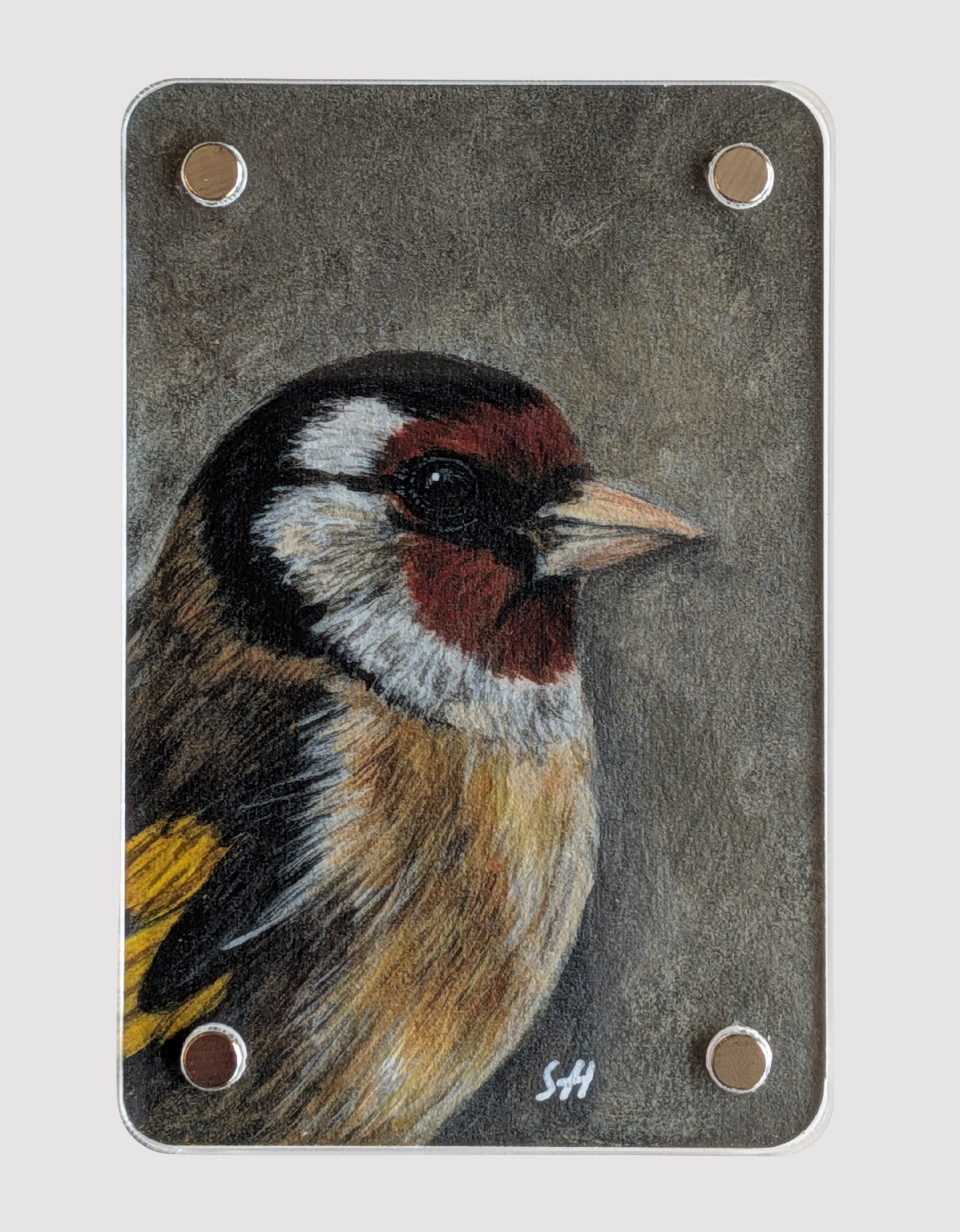 Goldfinch - Mini Fine Art Magnet (Limited to 50)