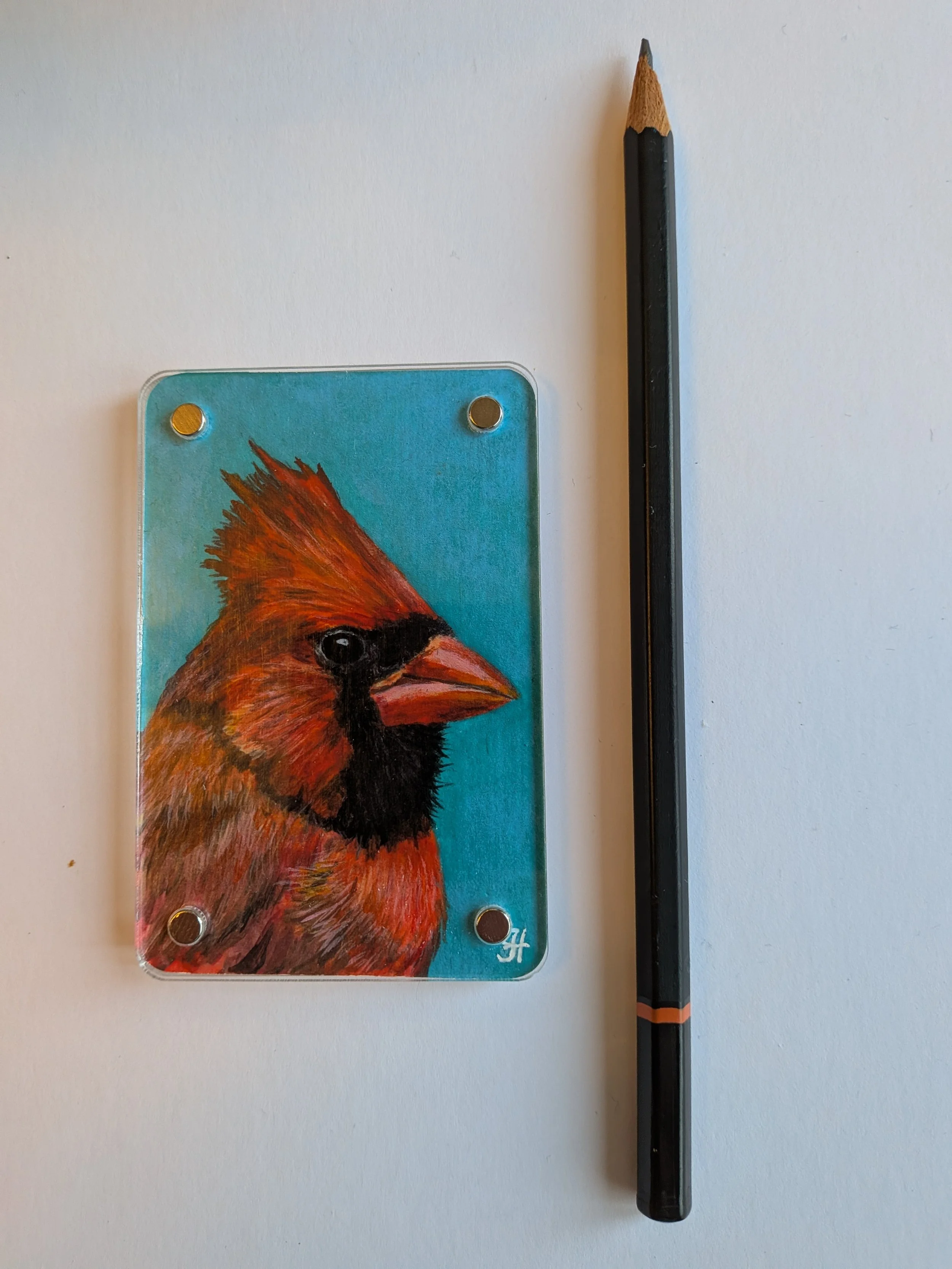Cardinal with pencil.jpg