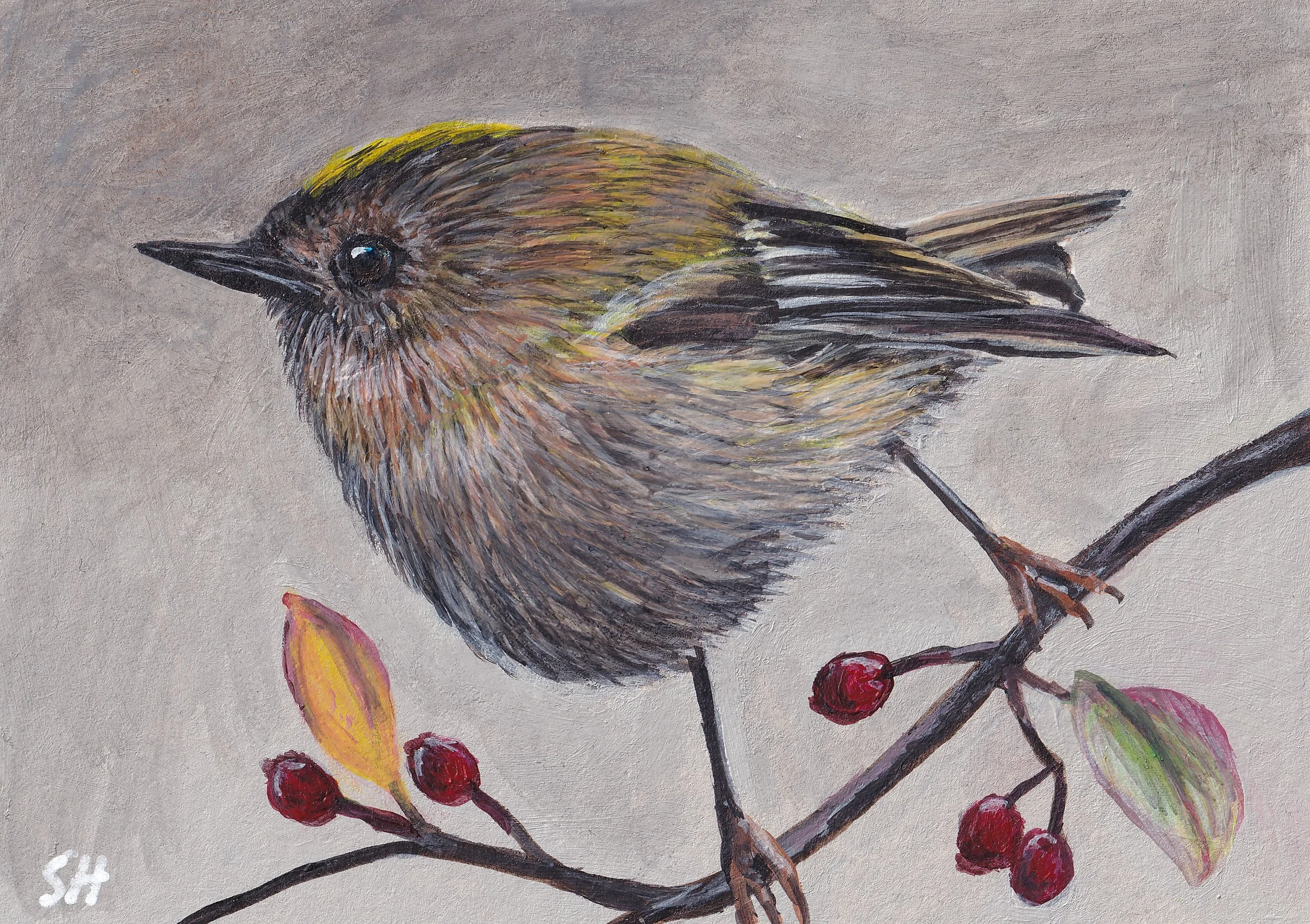 goldcrest.jpg