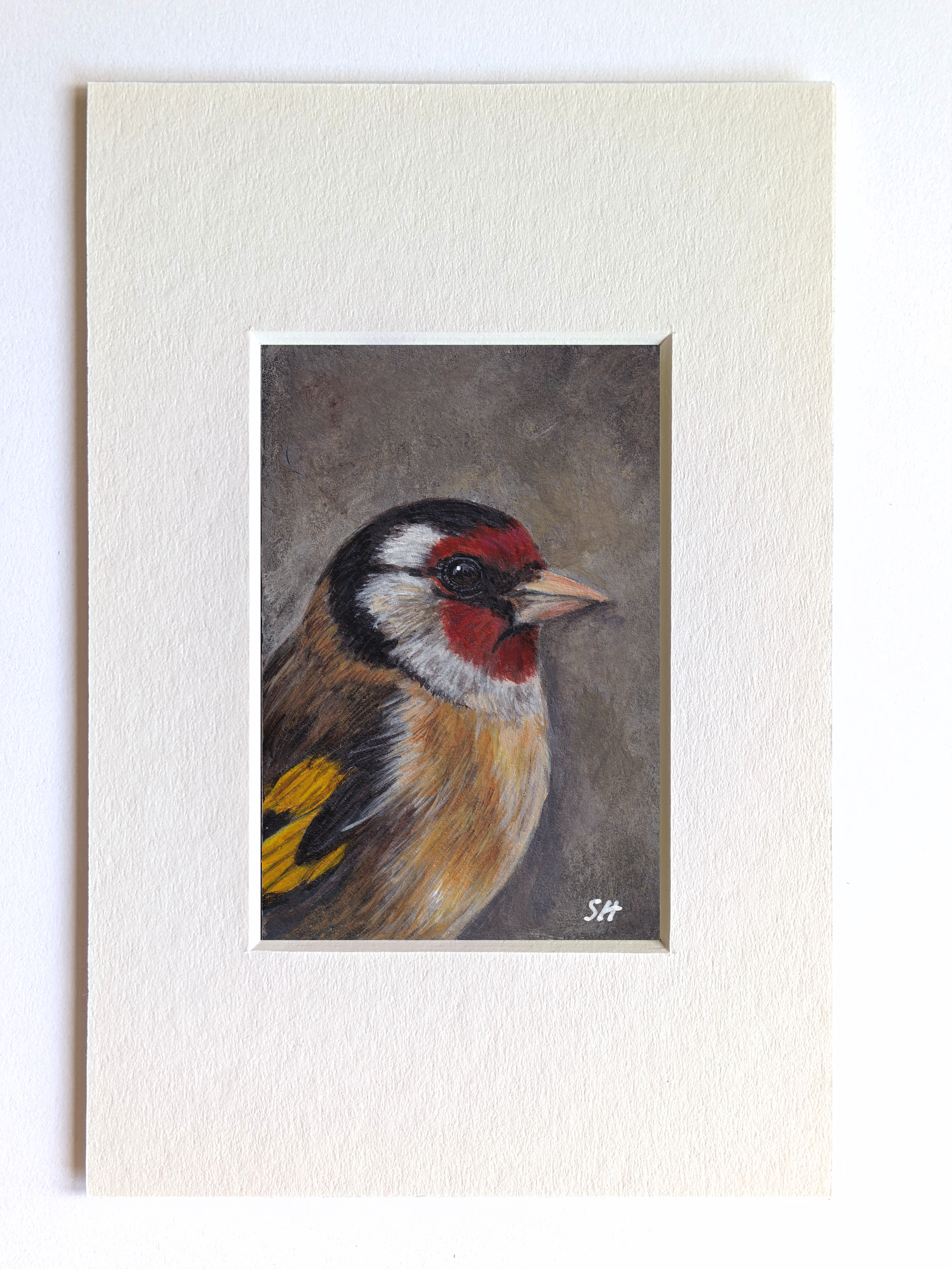 goldfinch grey arty.png