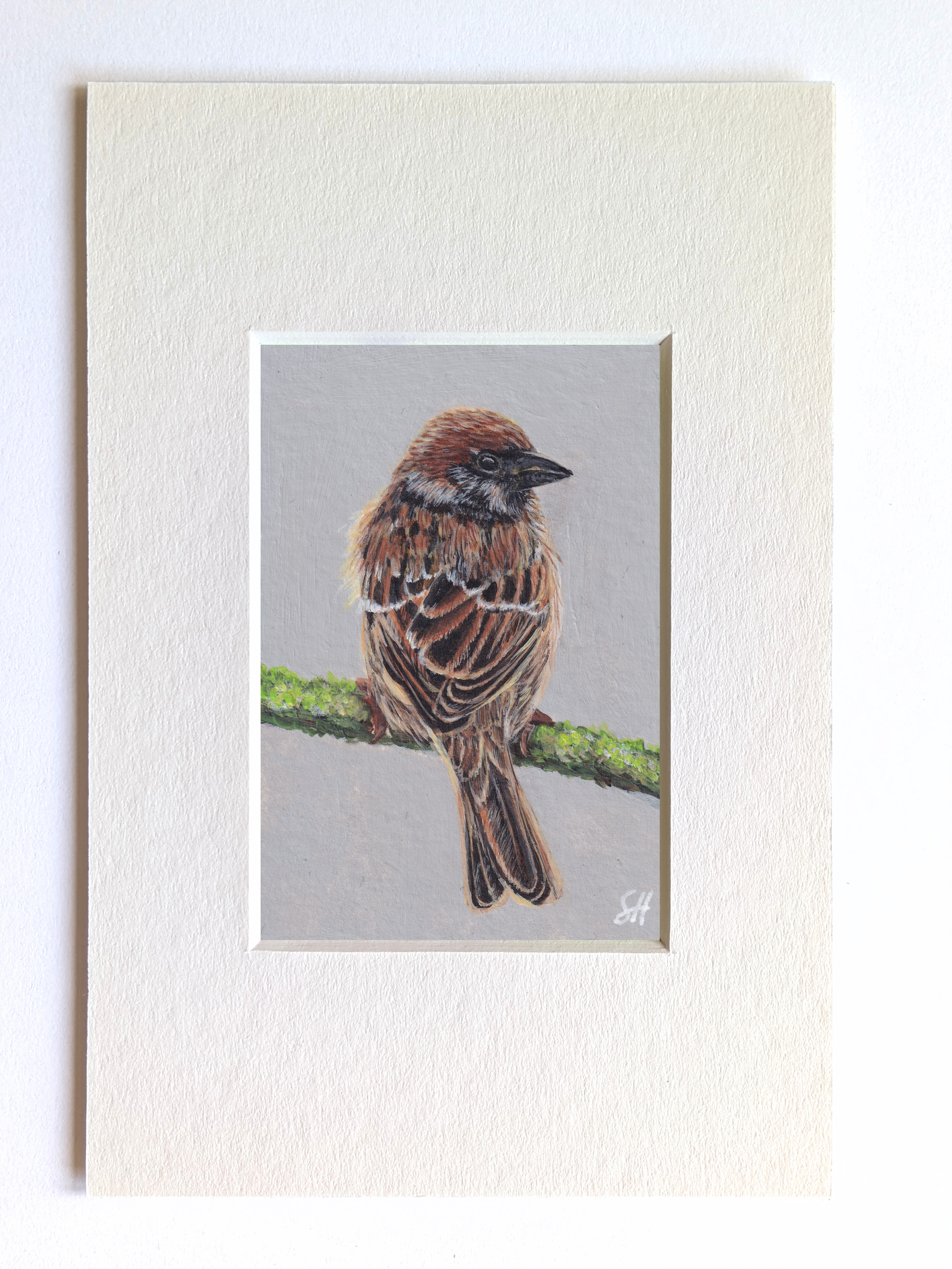 Sparrow Miniature Fine Art Painting