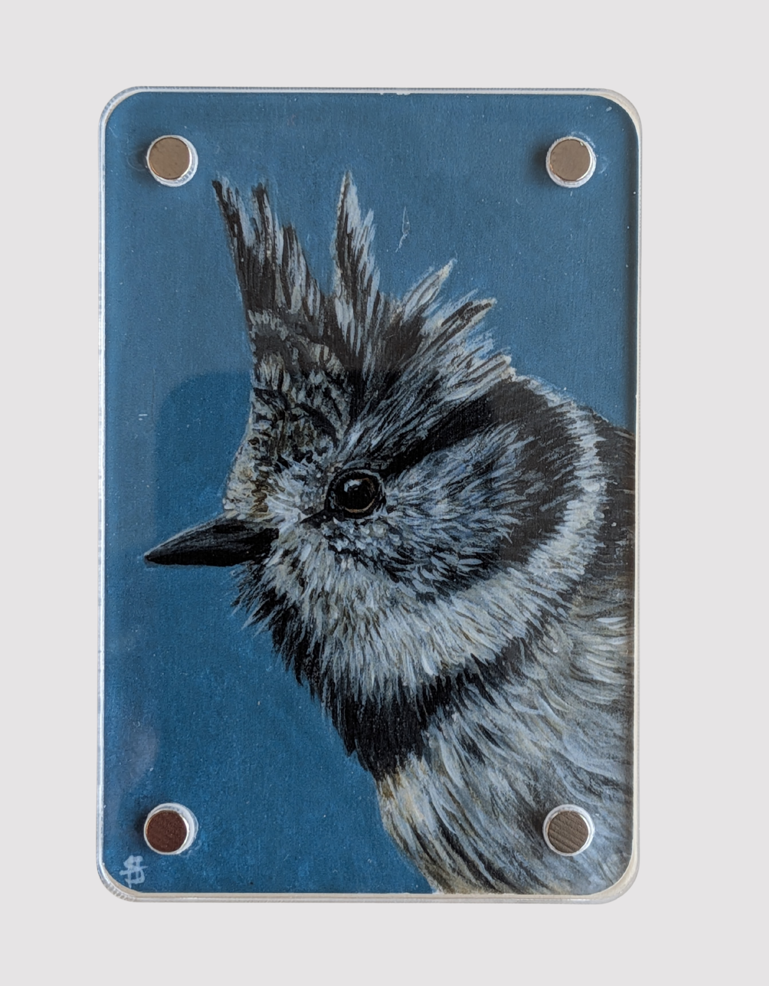 Crested Tit - Mini Fine Art Magnet (Limited to 50)