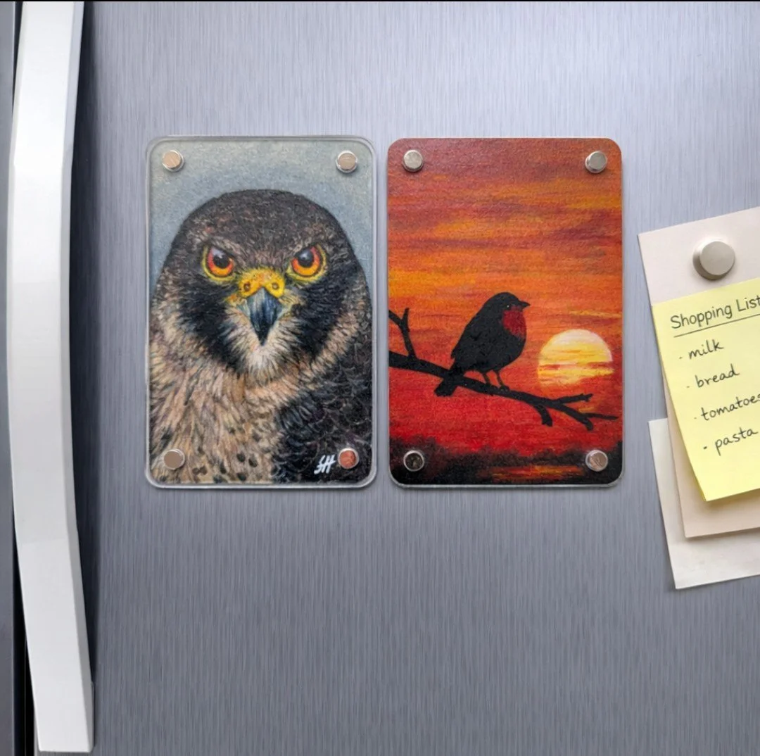 hawk robin silhouette fridge.png