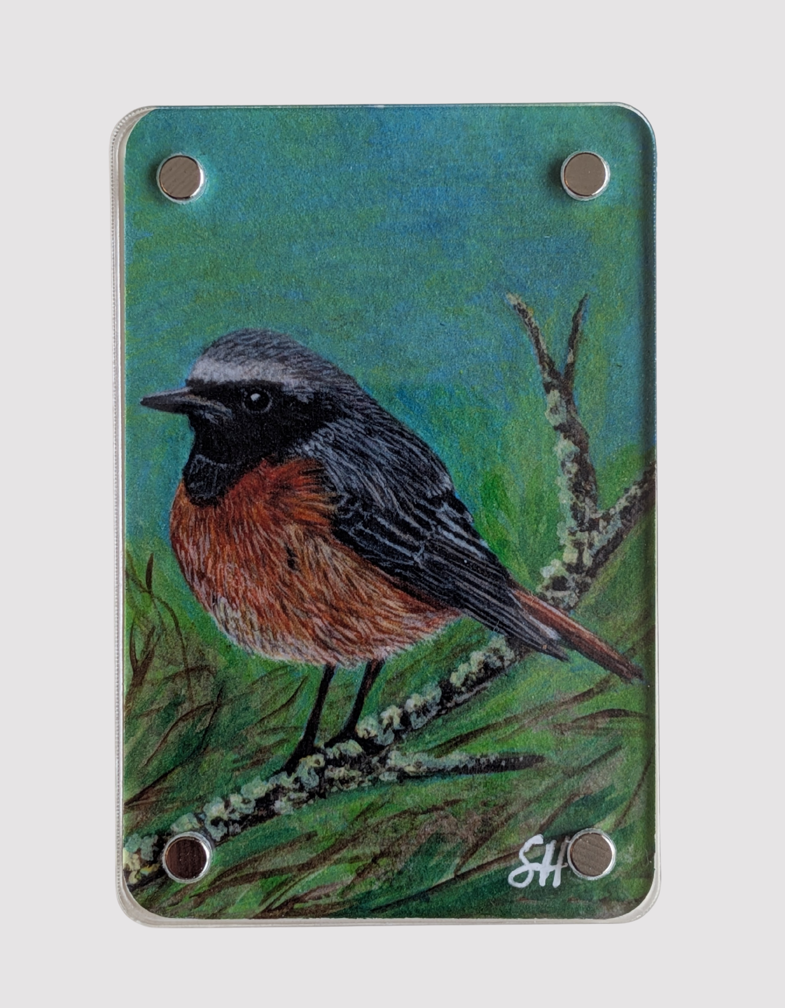 Redstart - Mini Fine Art Magnet (Limited to 50)