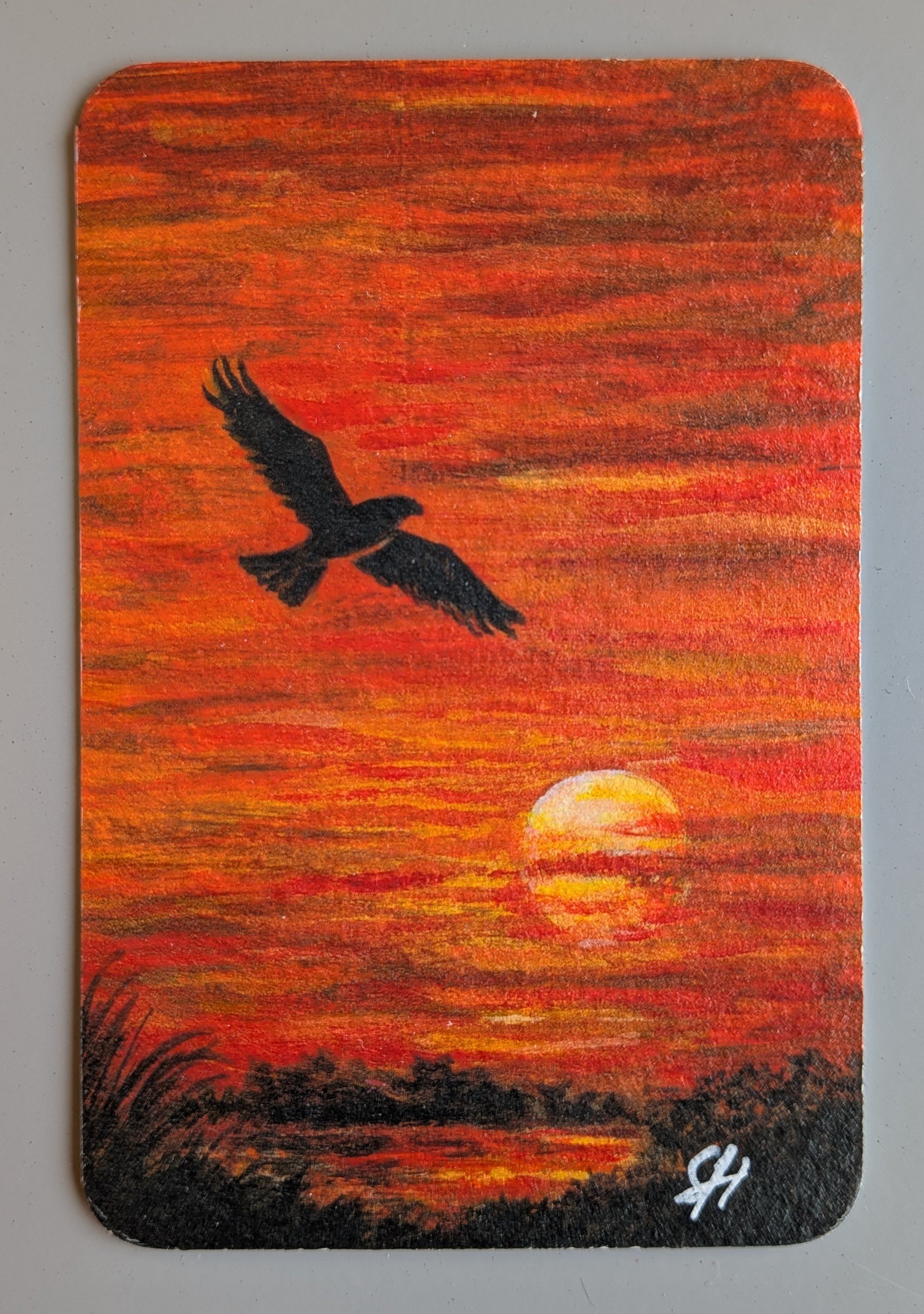 sunset silhouette buzzard original.jpg