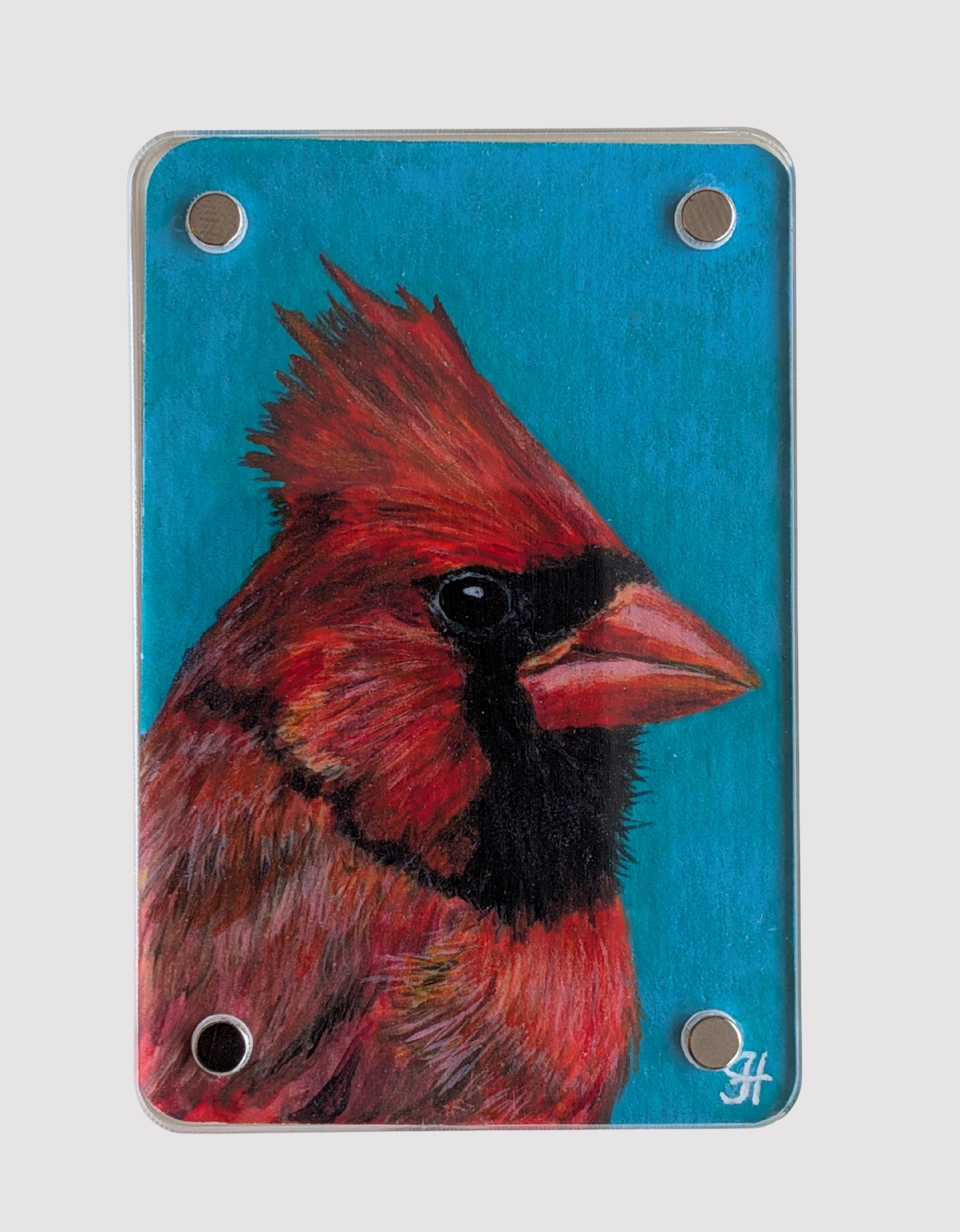 Cardinal Mini Art Magnet (Limited to 50)