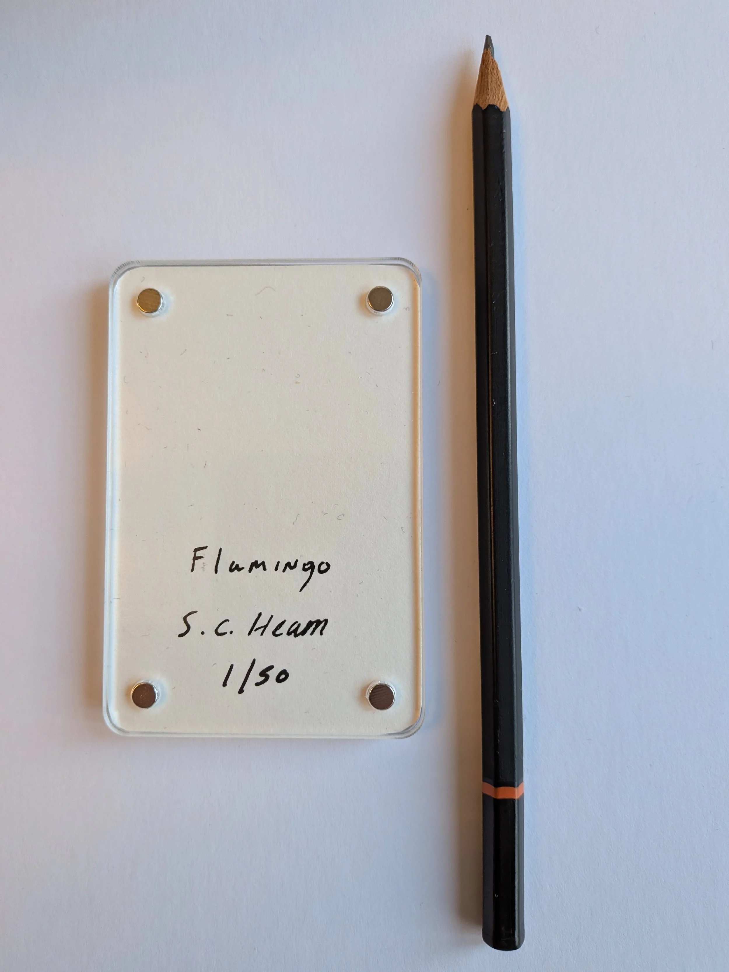 Flamingo writing.jpg