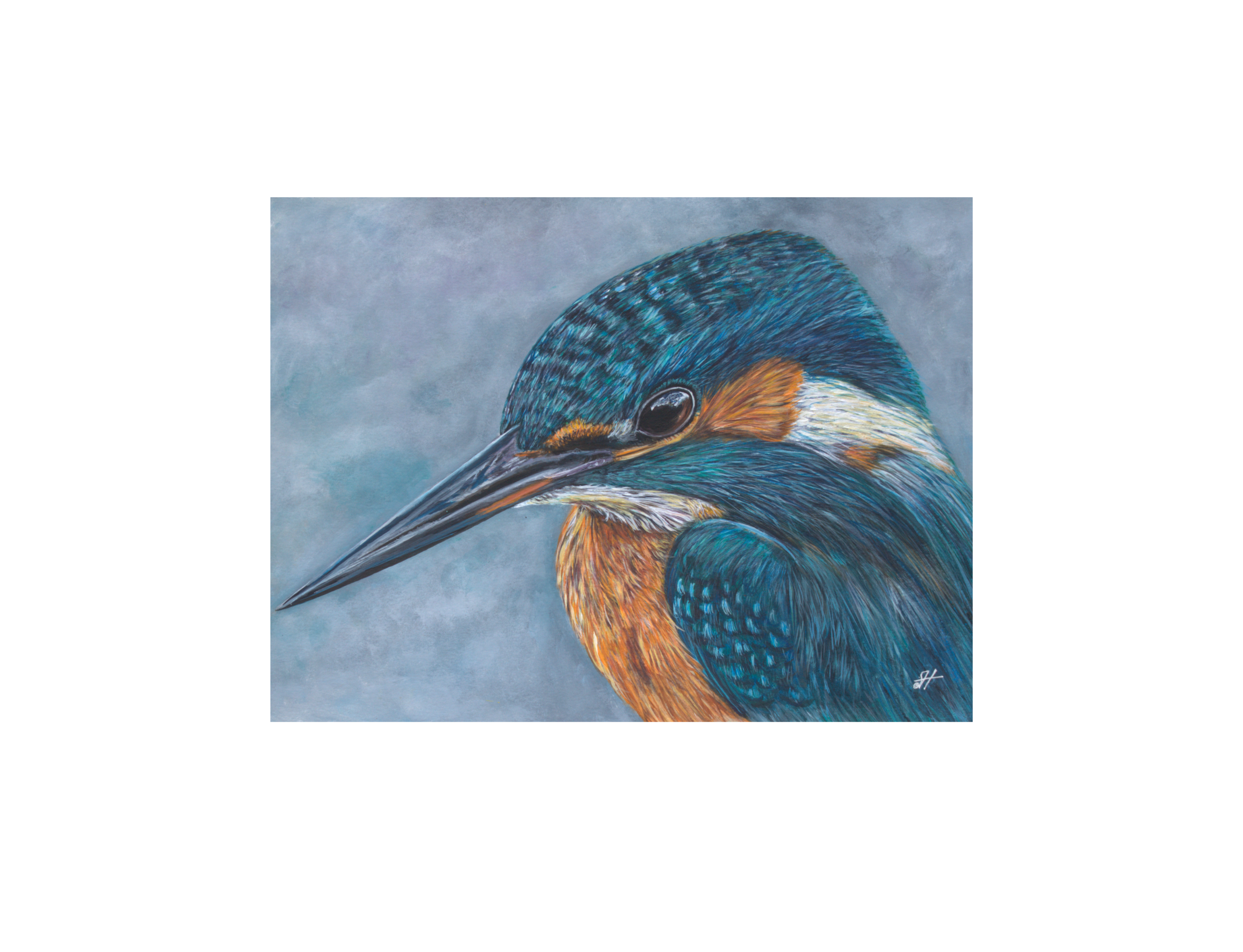kingfisher 1.png