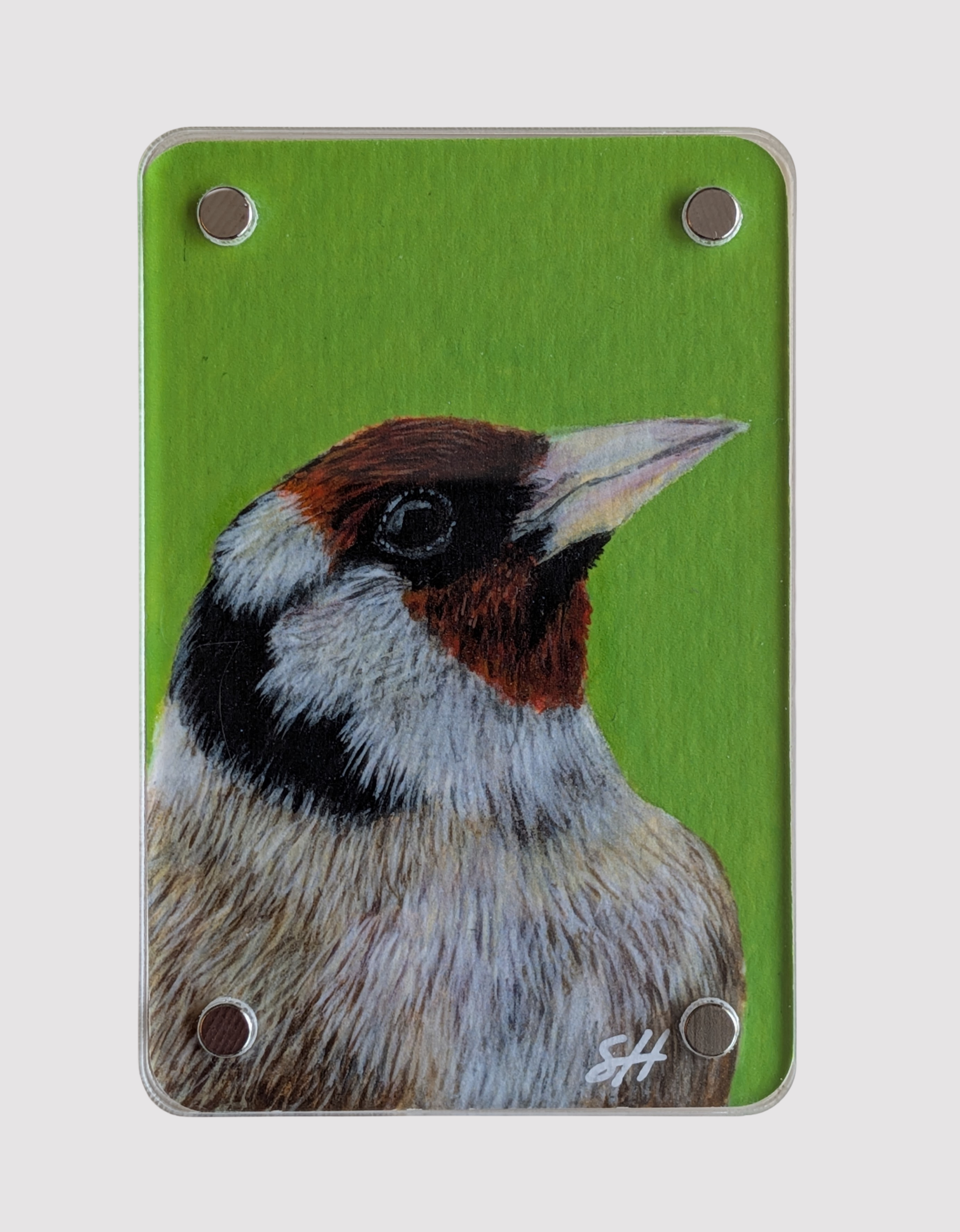 Goldfinch - Mini Fine Art Magnet (Limited to 50)
