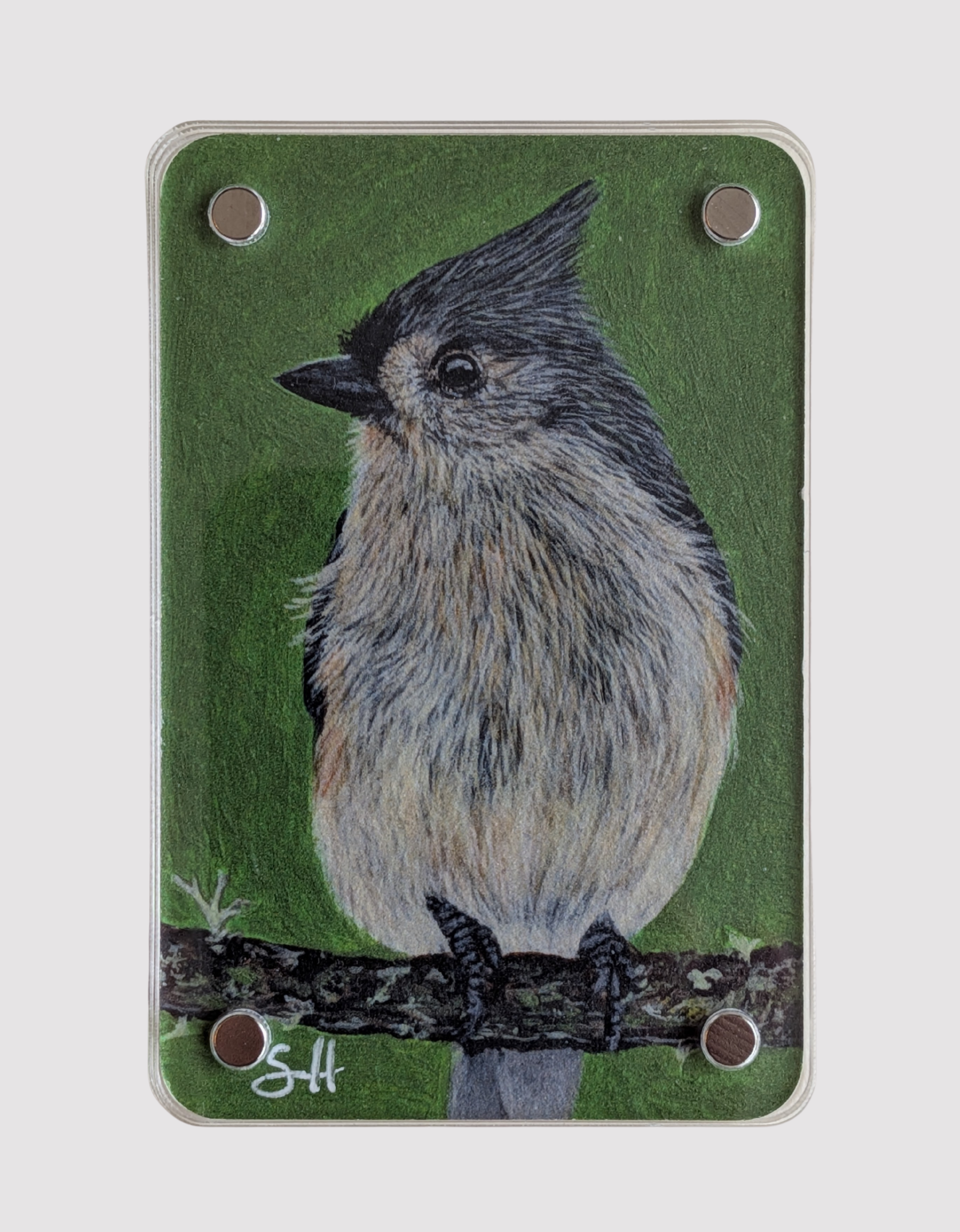 Tufted Titmouse - Mini Fine Art  Magnet (Limited to 50)