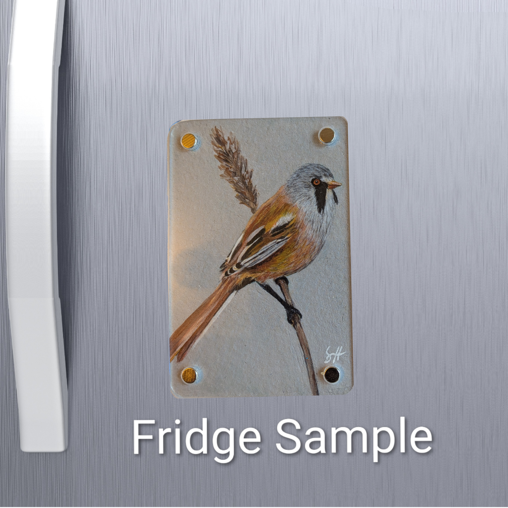 Bearded Tit  Mini Art Magnet (Limited to 50)