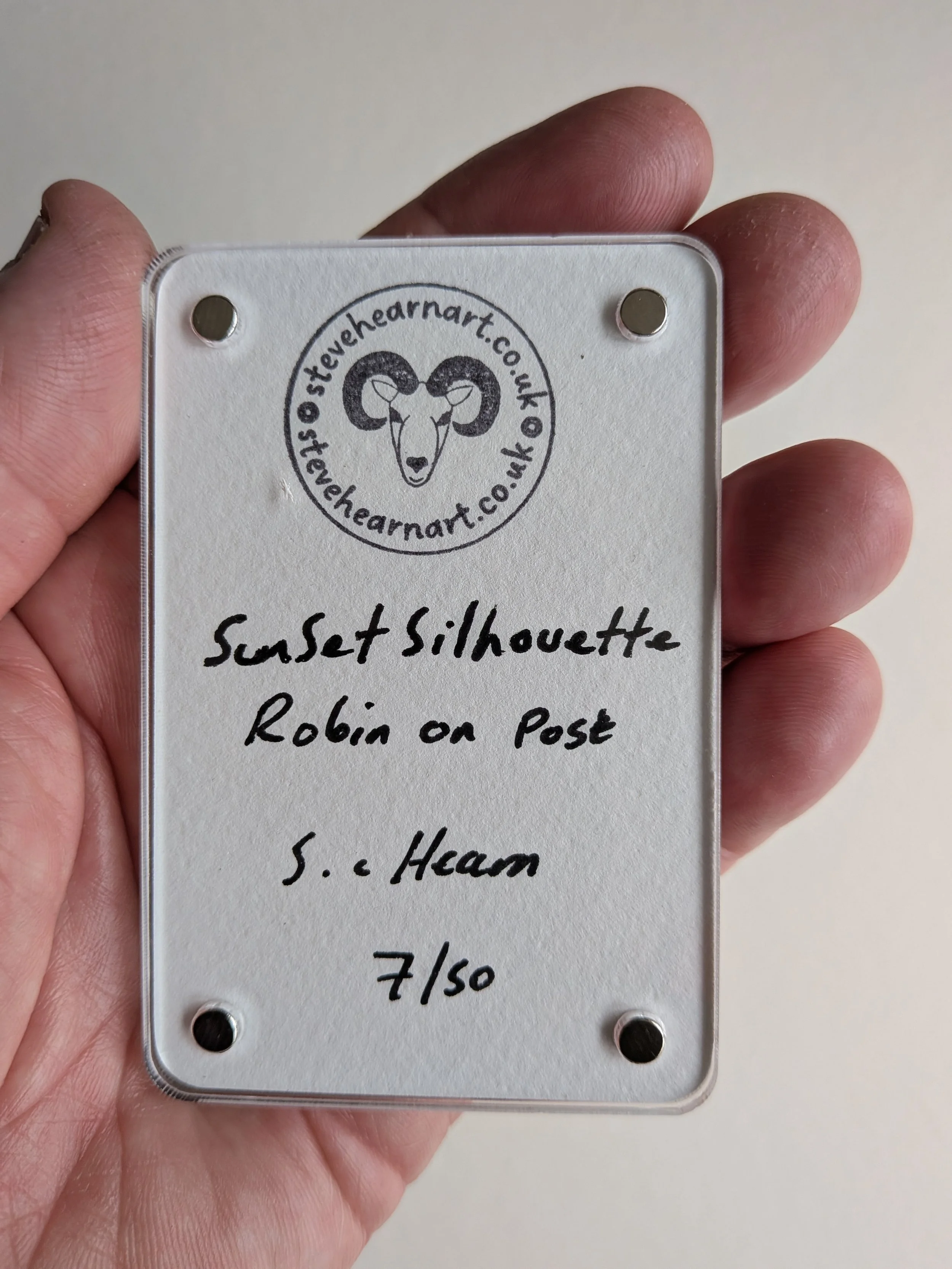 sunset silhouette robin post back.jpg