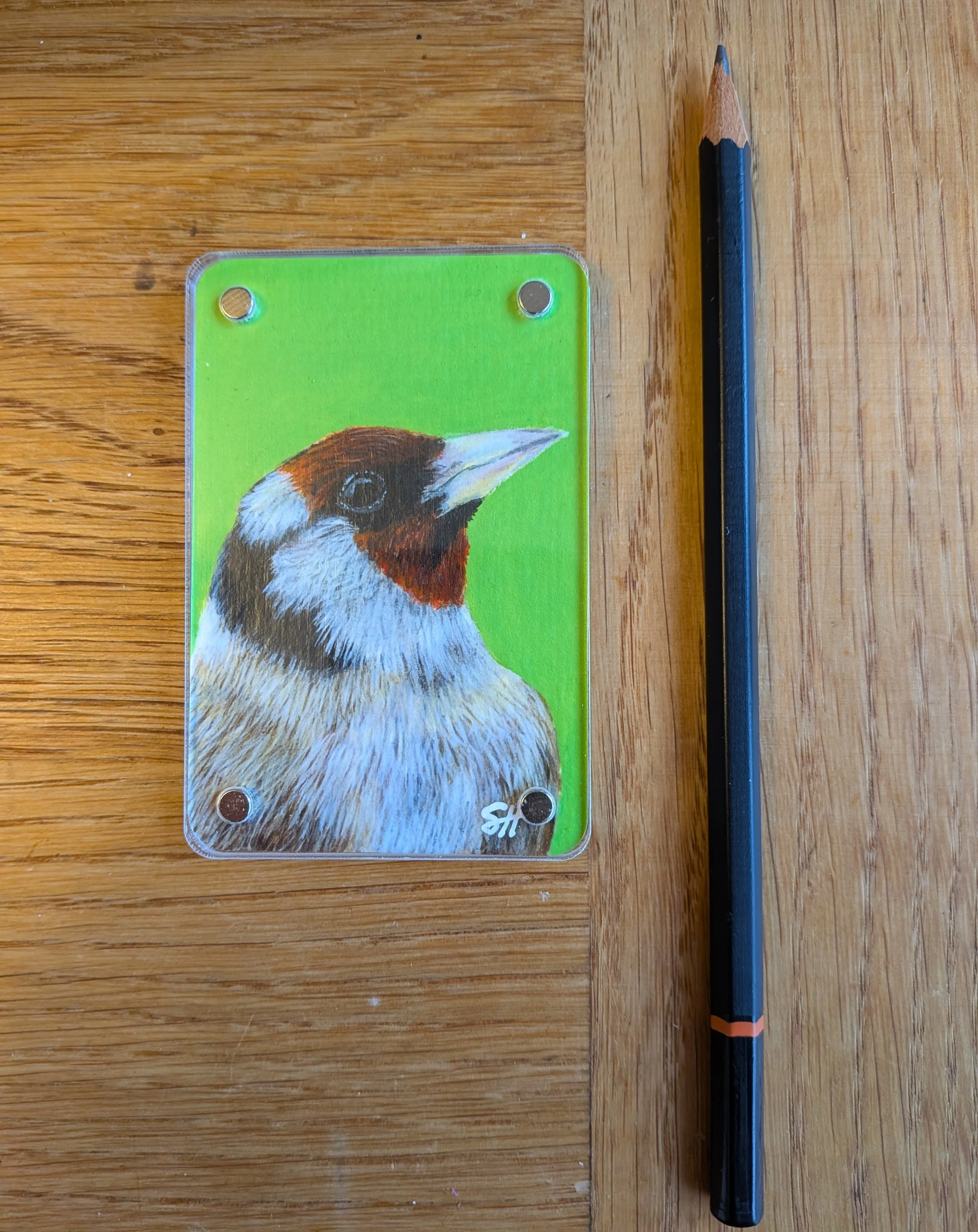 Goldfinch writing.jpg