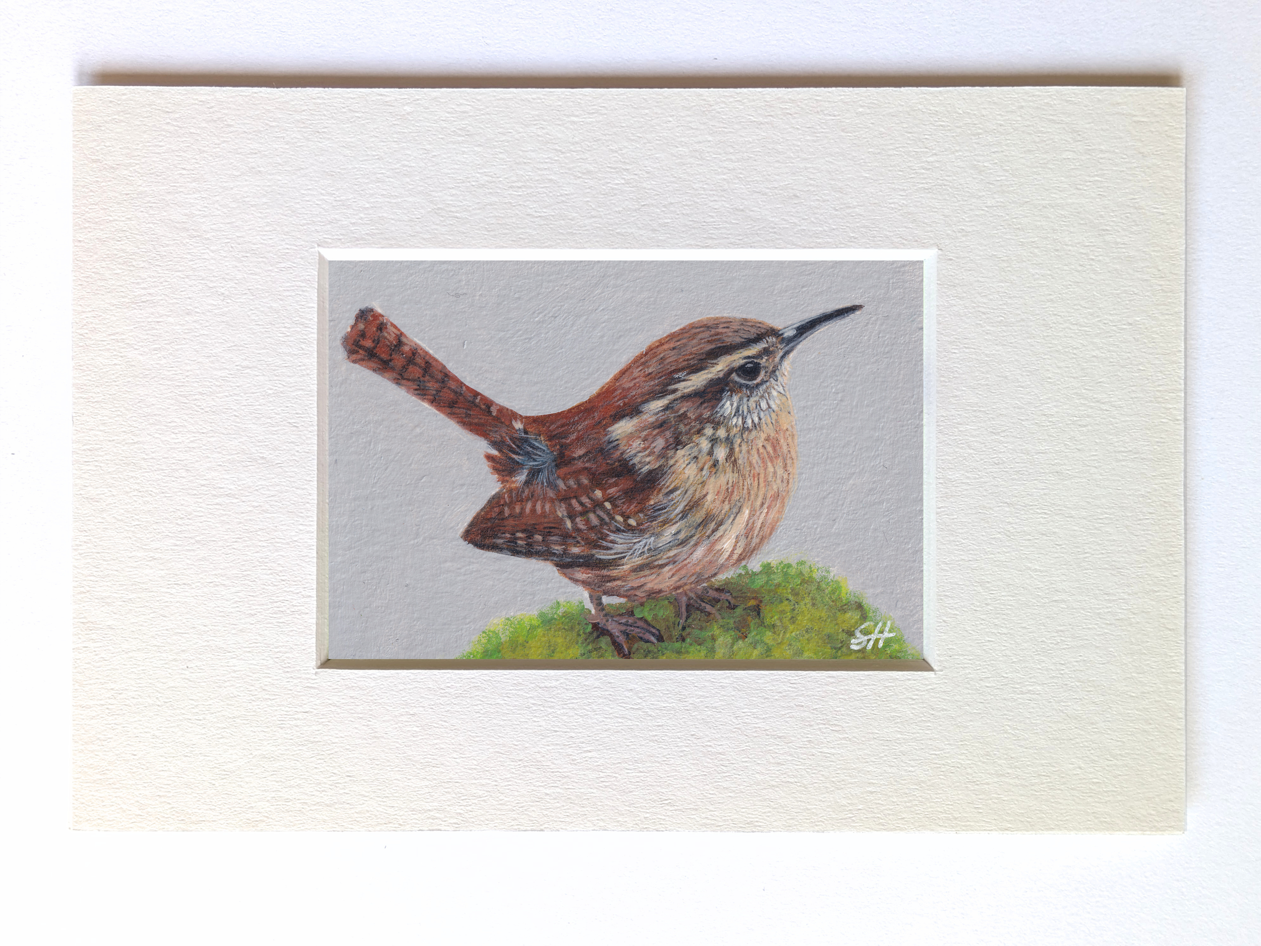 Wren Miniature Fine Art Painting