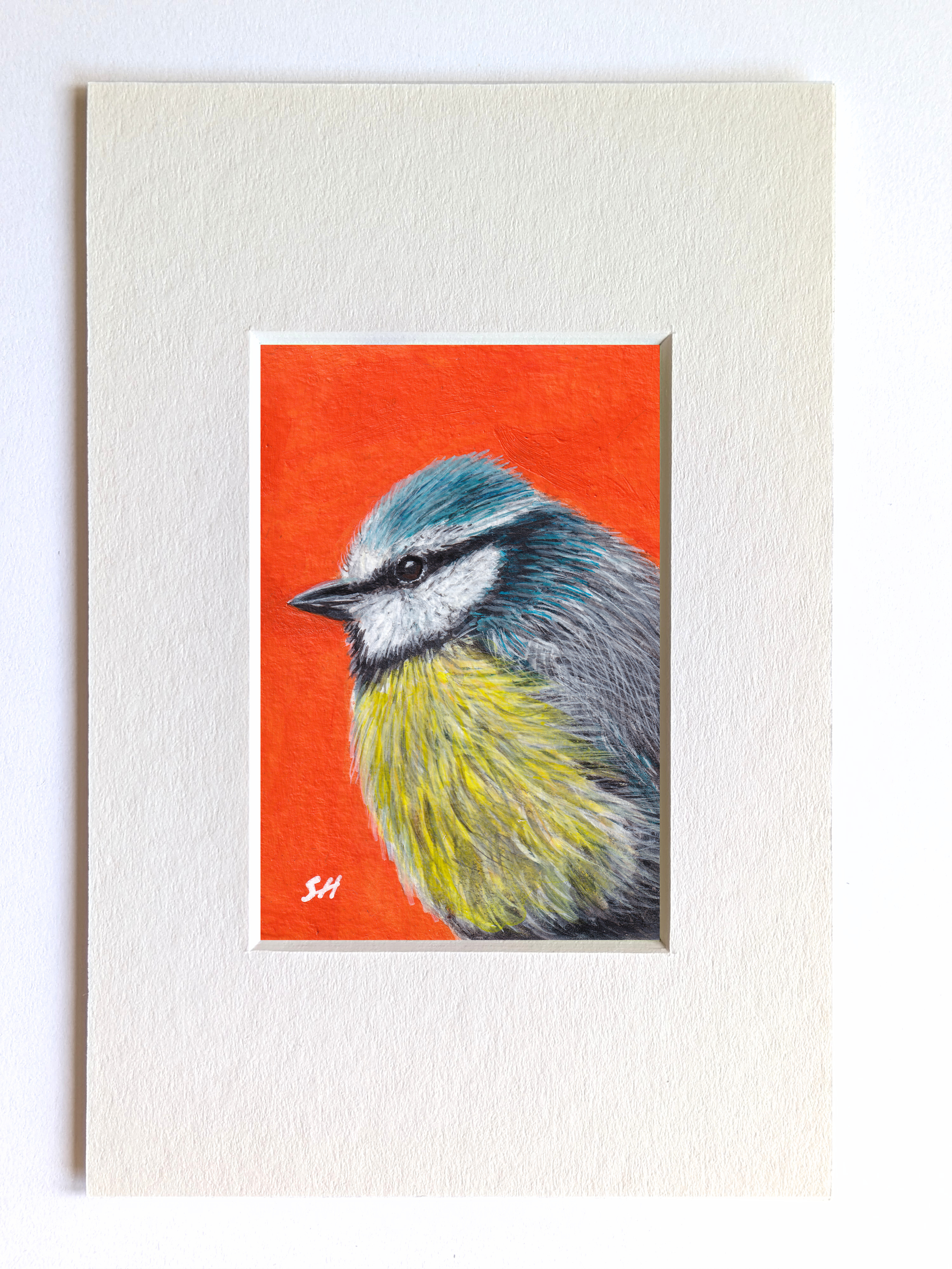 Blue Tit - Miniature Fine Art Painting