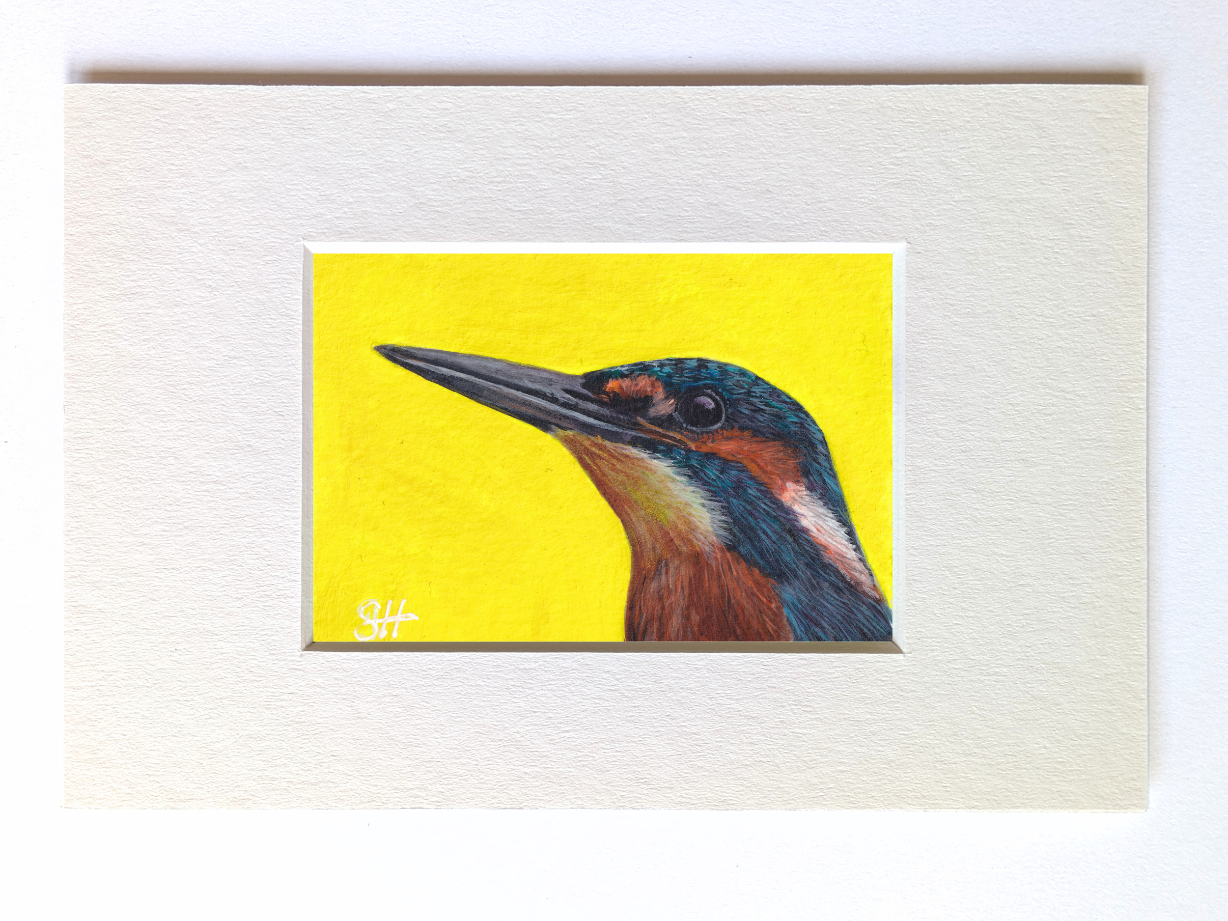 Kingfisher Miniature Fine Art Painting