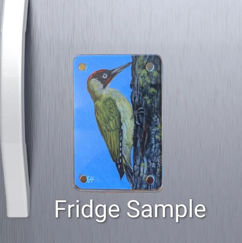 green woodpecker 1.jfif