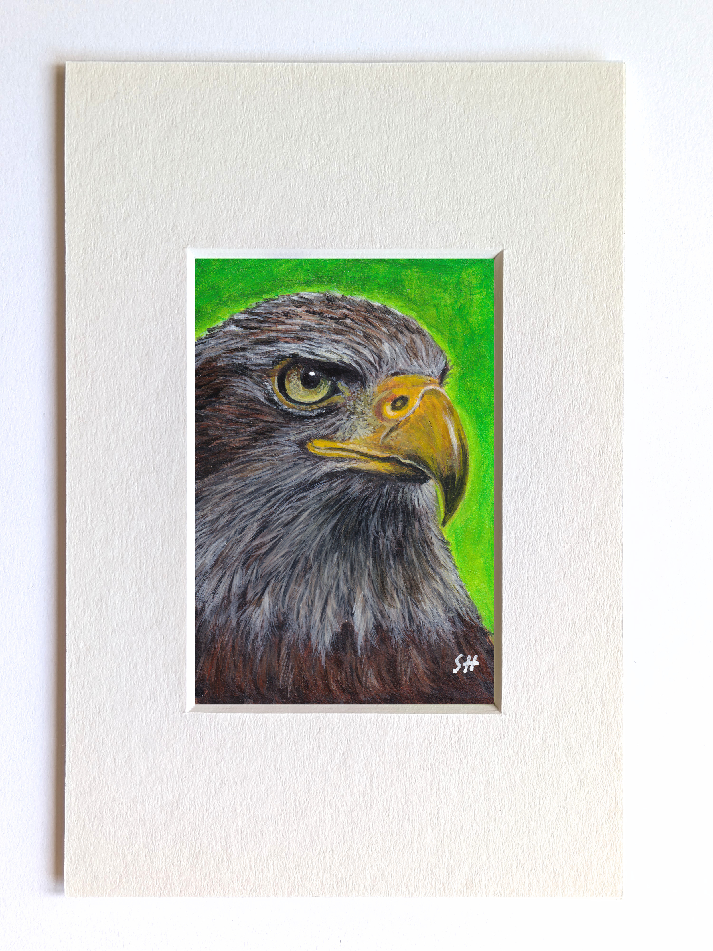 white tailed eagle.png
