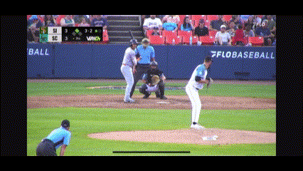 ferryhawks homerun maryland.gif