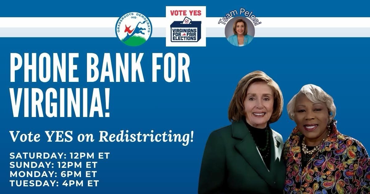 News From Nancy: Vote Yes in Virginia Election – Edition!