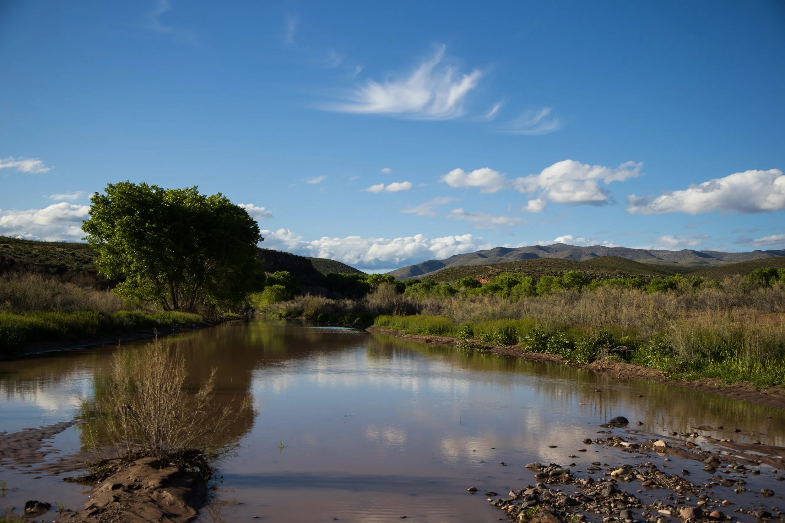 Scenic landscape with river, trees, and mountains under blue sky with clouds
