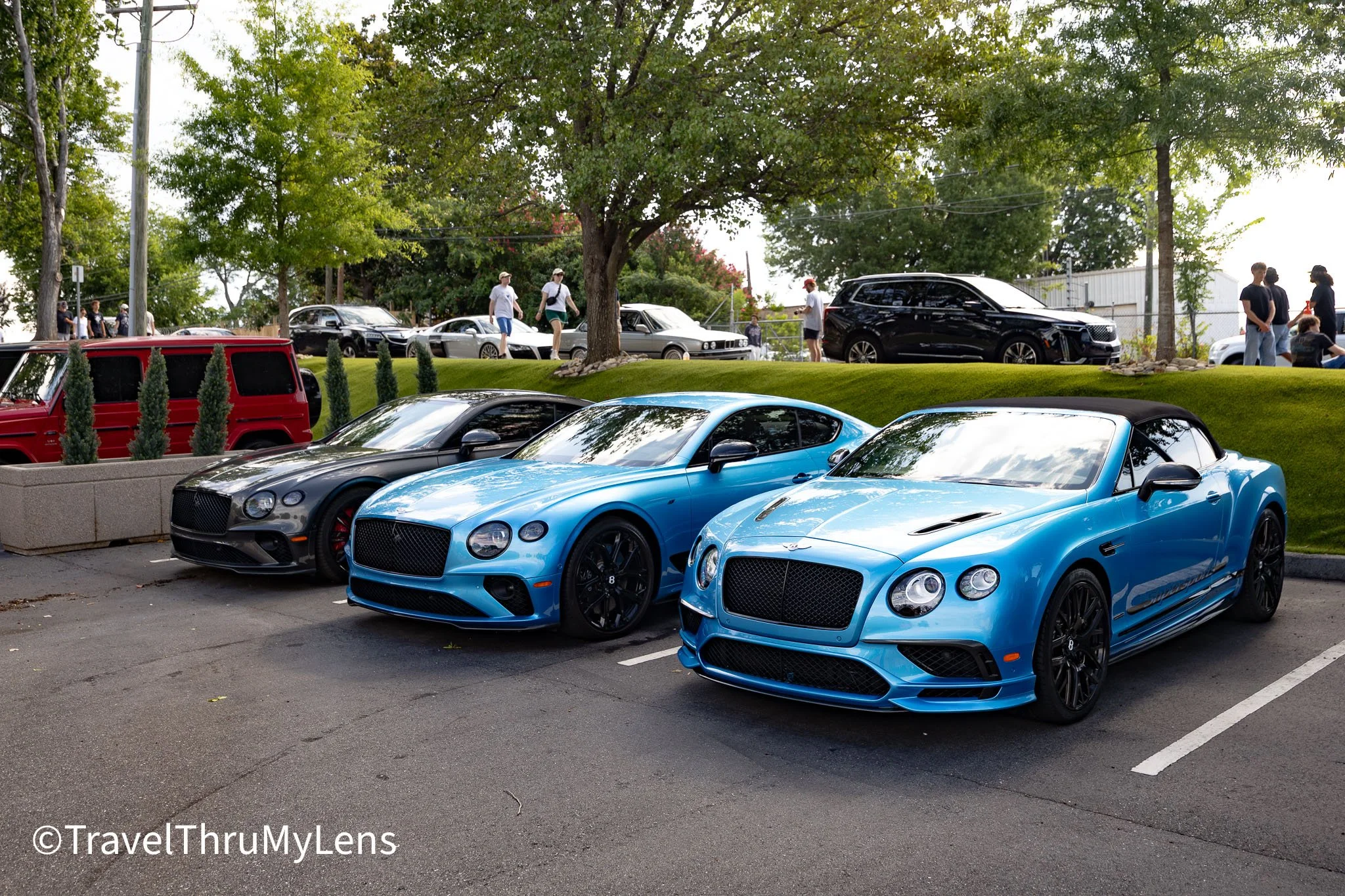 Car Show-4.jpg