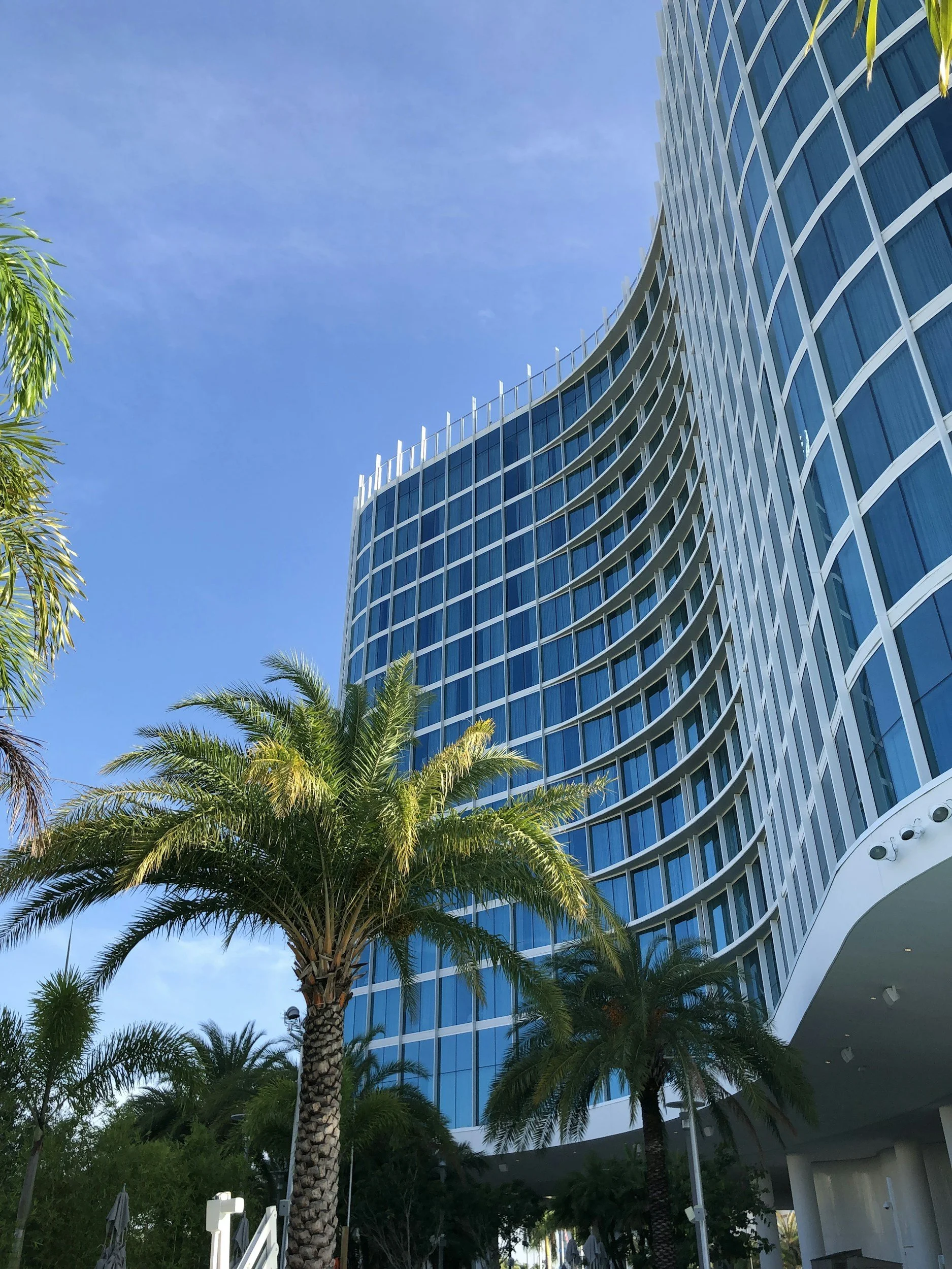Modern glass hotel building with palm trees in the foreground under a clear blue sky.