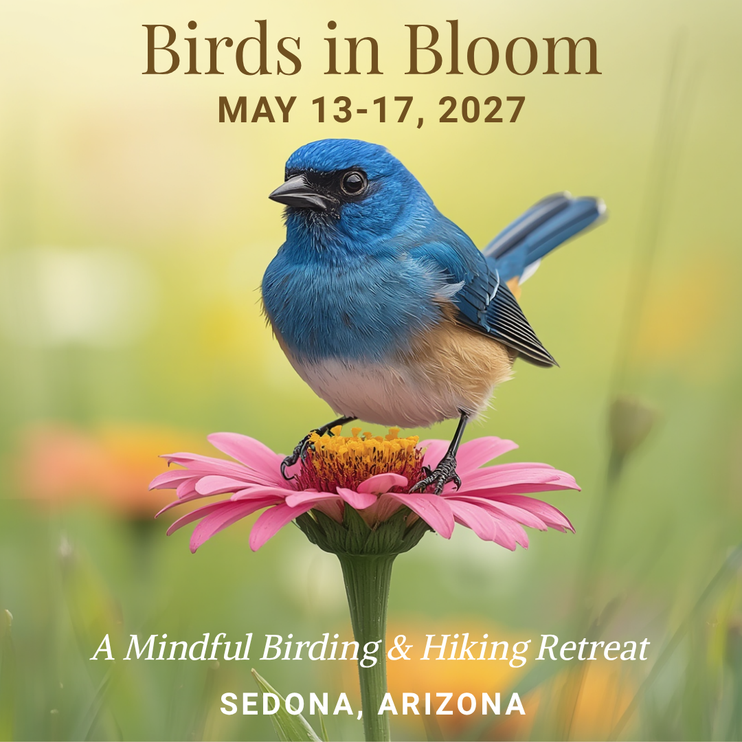 Copy of Hiking - Mindfulness-Birding.png