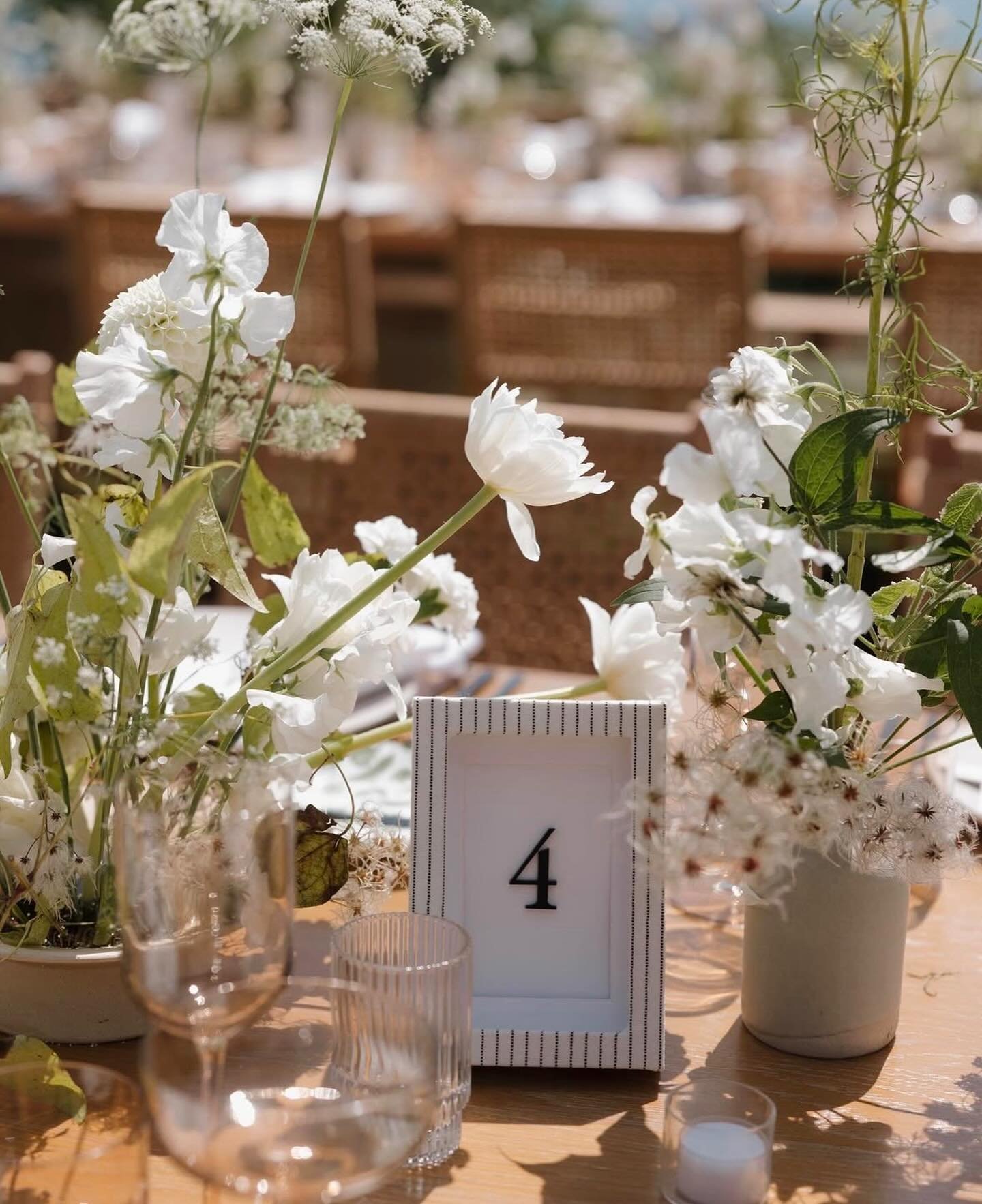 Airy, light filled whites and greens for Emma and Riley 🕊️