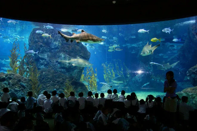 Top Family-Friendly Attractions with Kids in Bangkok (2025)