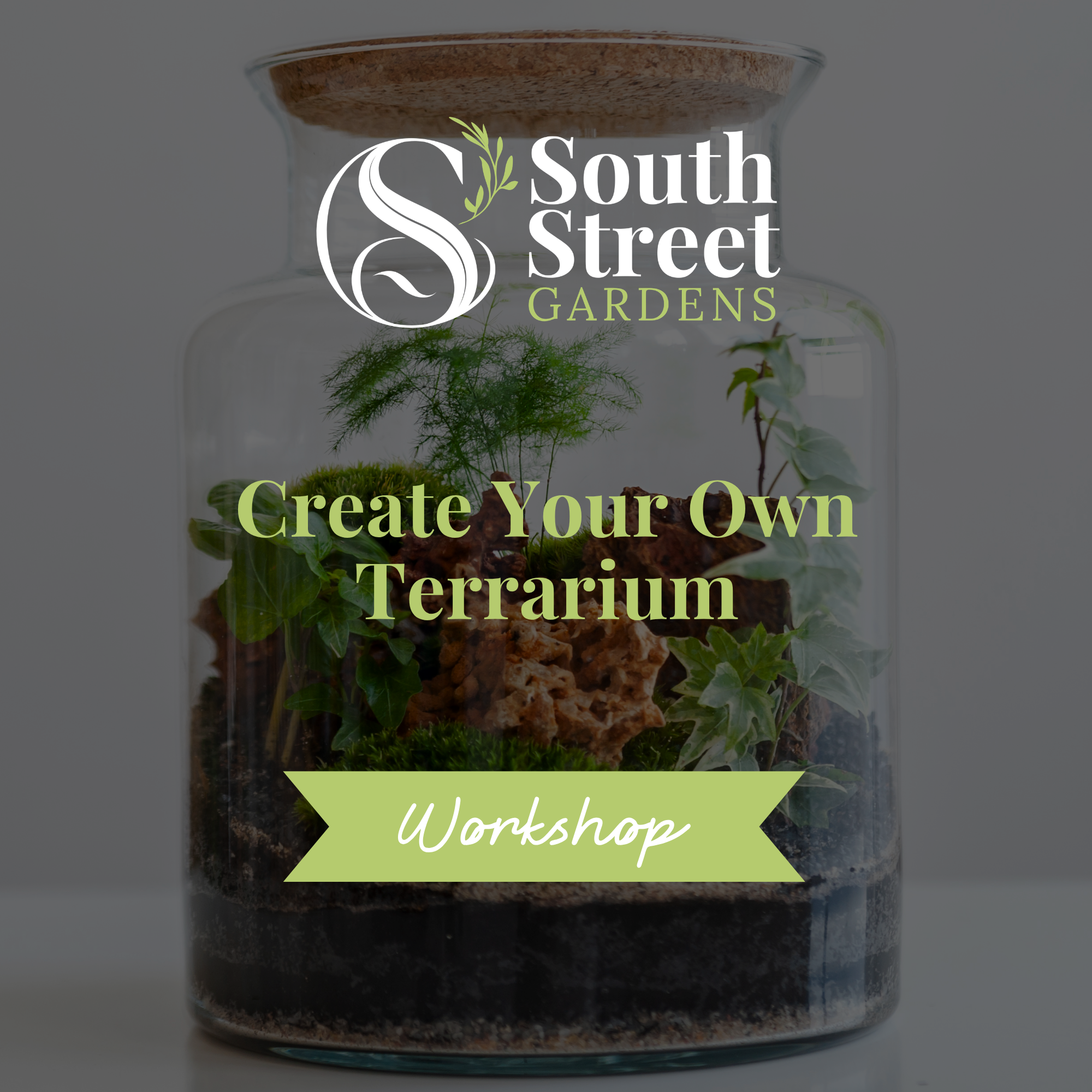 Tiny Worlds: A Living Terrarium Workshop - Wednesday, July 22, 10:30am - 12pm