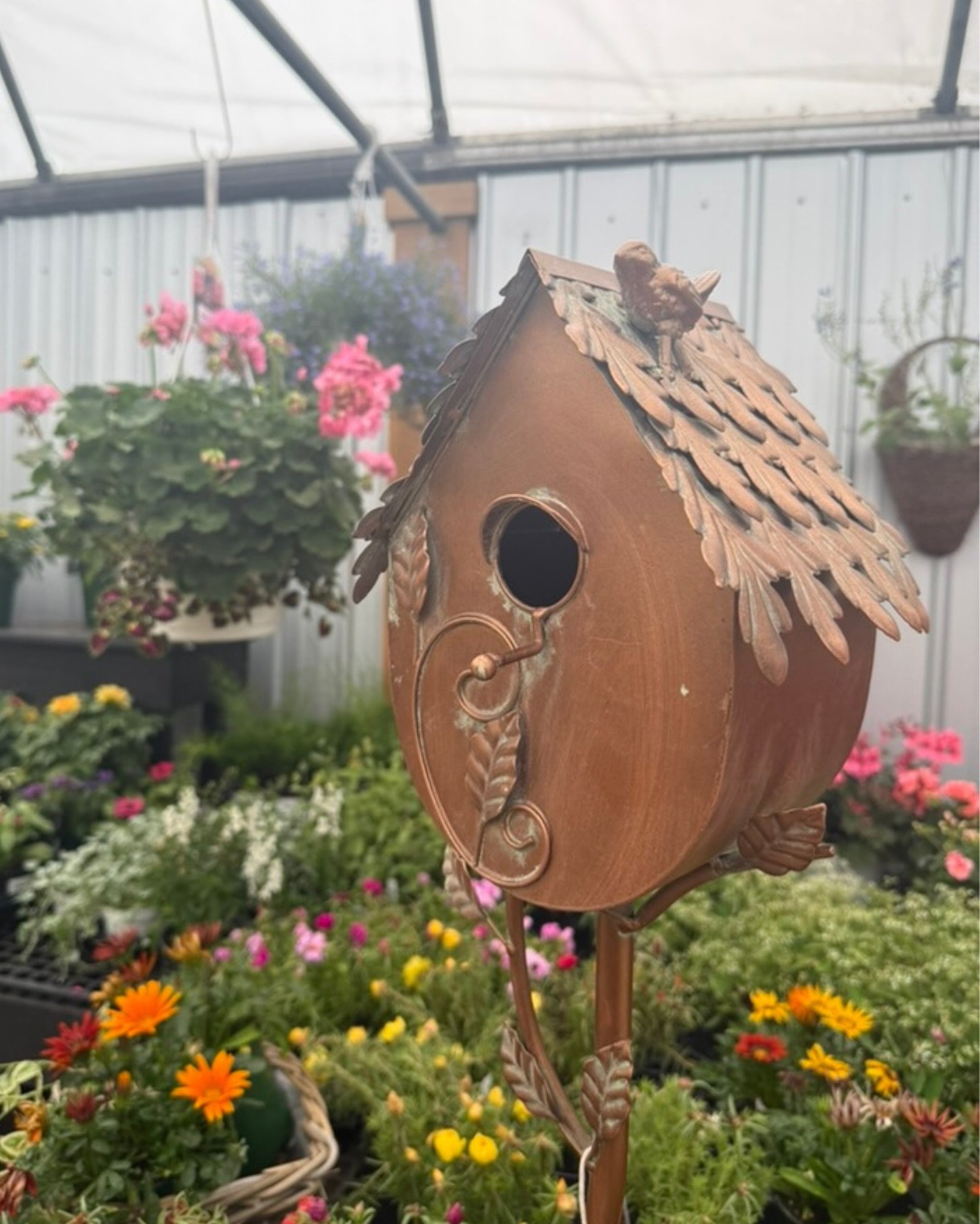 Give a bird a place to call home 🐦✨
Our copper birdhouses add instant charm to your yard and a cozy spot for your feathered friends. Limited stock &mdash; swing by South Street Gardens to grab yours!