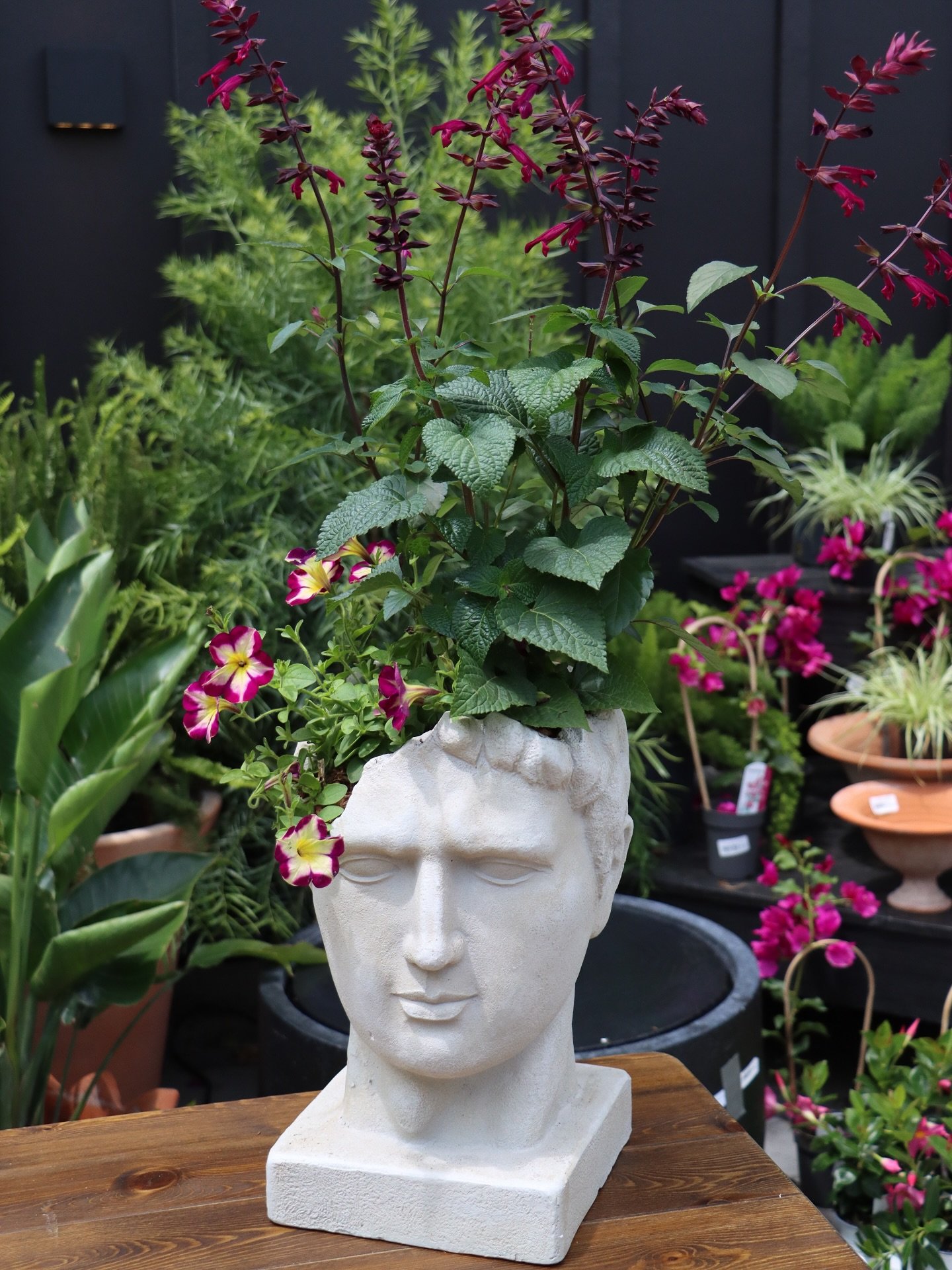 We can&rsquo;t get some of these planter combos out of our minds 🪴🪻There&rsquo;s something about the mix of pottery, bold textures, and fresh color that just feel so right. With new pieces rolling in and endless ways to fill them, the possibilities