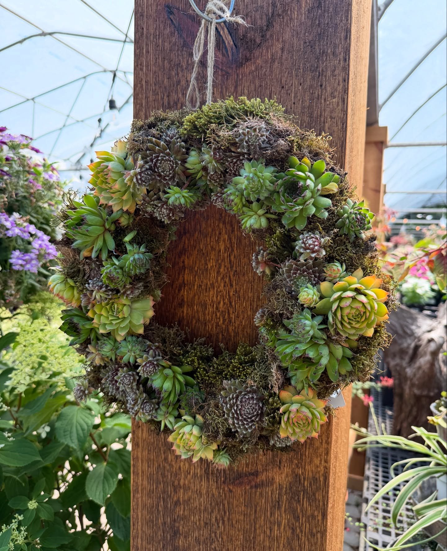 🪴 Succulent Wreath Workshop | ✨Create something that grows with you!

Join us for a hands-on evening where you&rsquo;ll design and build your very own living succulent wreath &mdash; perfect for your front door, wall, or summer table centerpiece.

T