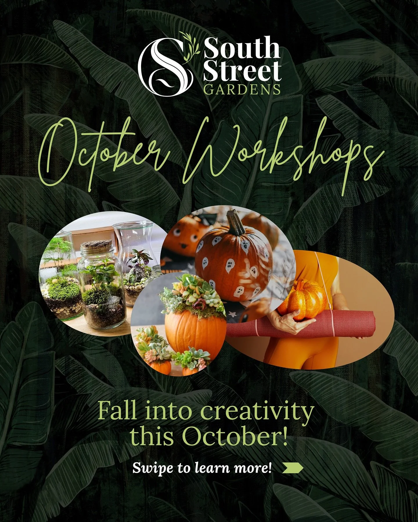 🍂 October at South Street Gardens is all about creativity and connection! From painting and yoga to terrariums and pumpkin centerpieces, our October lineup has something for everyone.

✨ Kids &amp; Adult Pumpkin Workshops
🧘 Evening Yoga in the Gard