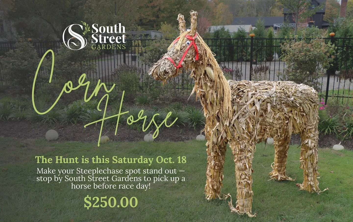 Make your Steeplechase spot the mane event! 🐎 Pick up a Corn Horse at South Street Gardens before race day and bring a little harvest humor to the field! 

#thehunt #horse #cornhorse