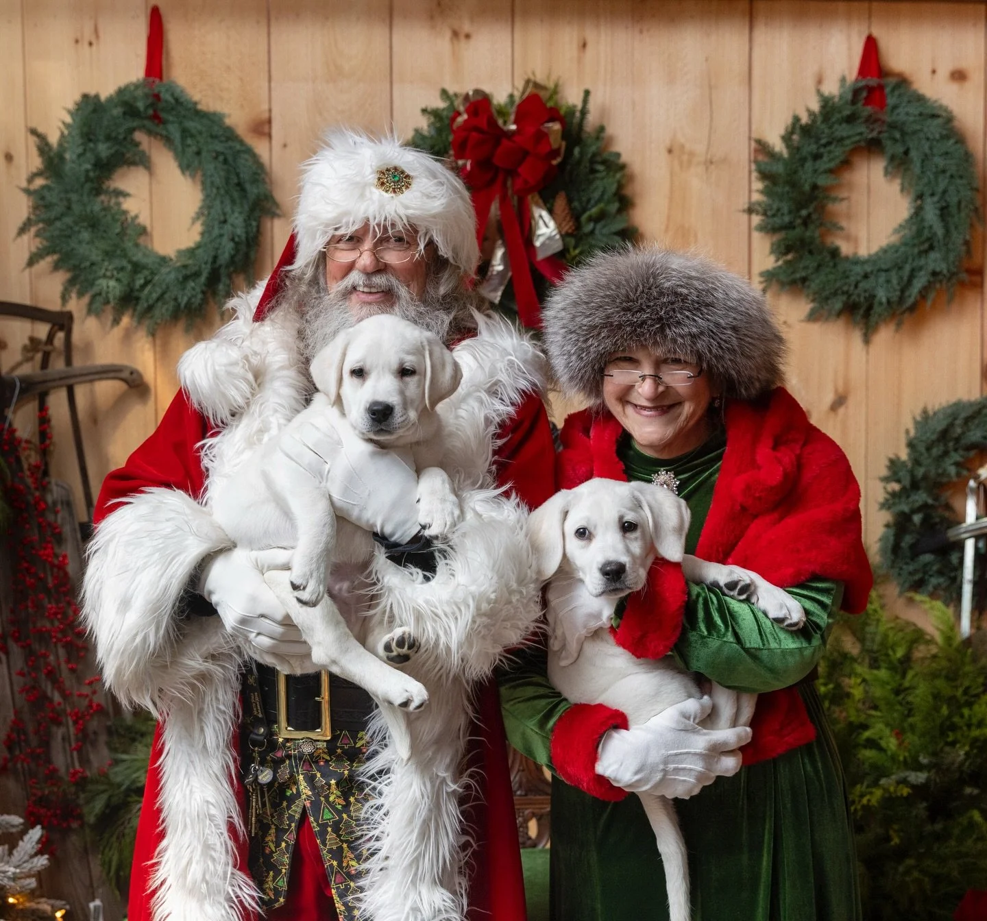 Look who Santa and Mrs Claus dropped off this week 🎅🤍

Meet our newest team members Woodford and Banqs already spreading cheer and stealing hearts 🐾✨

Stop by and say hello while they settle into their new home within our gardens!🎄🐶

#SouthStree