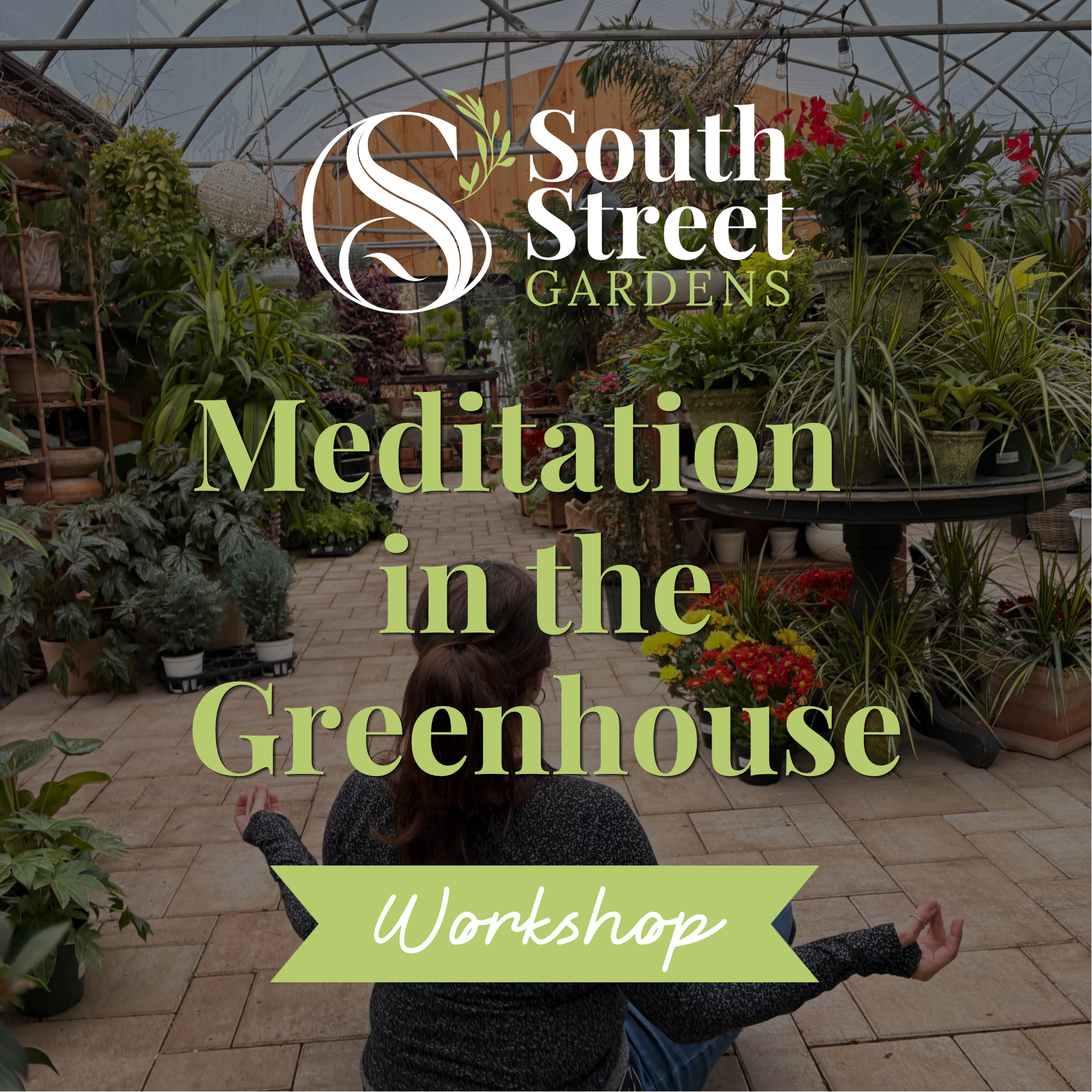 Meditation Workshop (2).png (Copy)